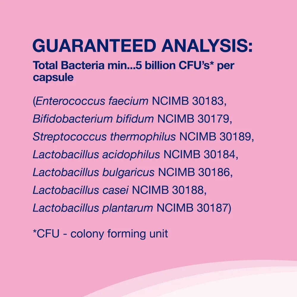 Proviable Digestive Health Supplement DC Capsules for Cats and Dogs, 80 Count