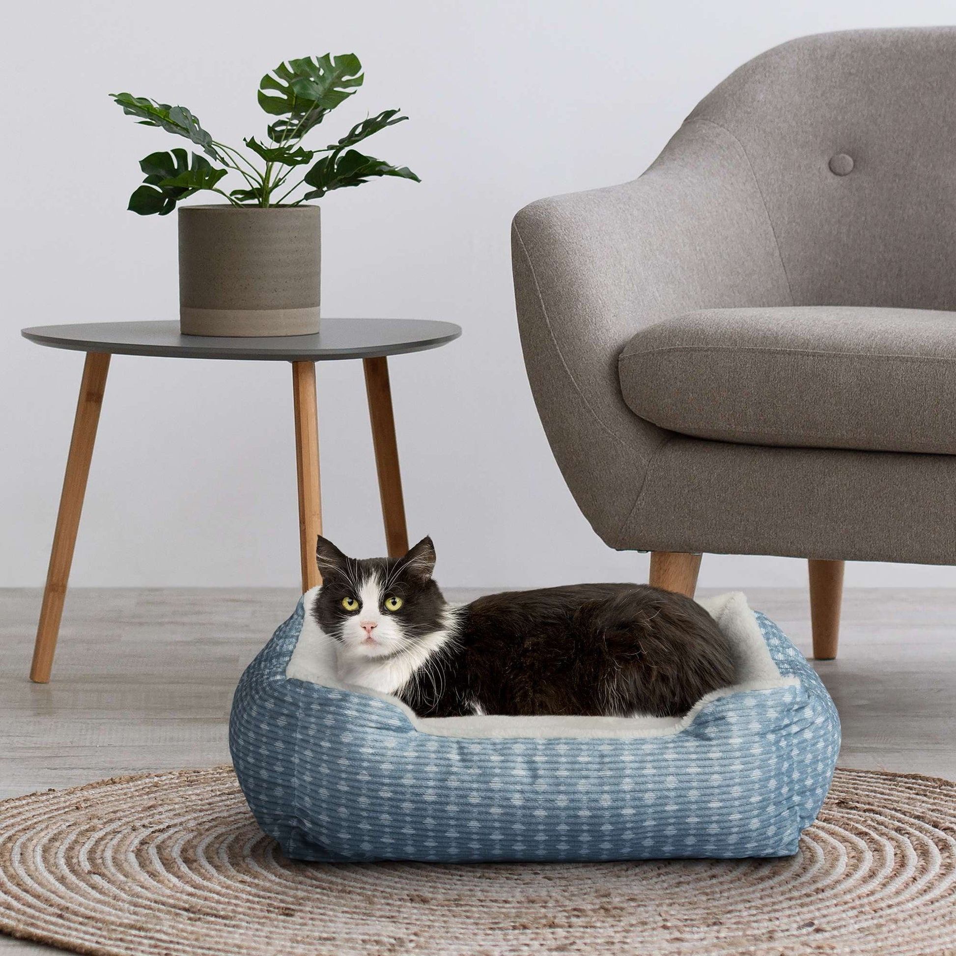 Cuddler Small Dog or Cat Bed, Blue 19" X 15"