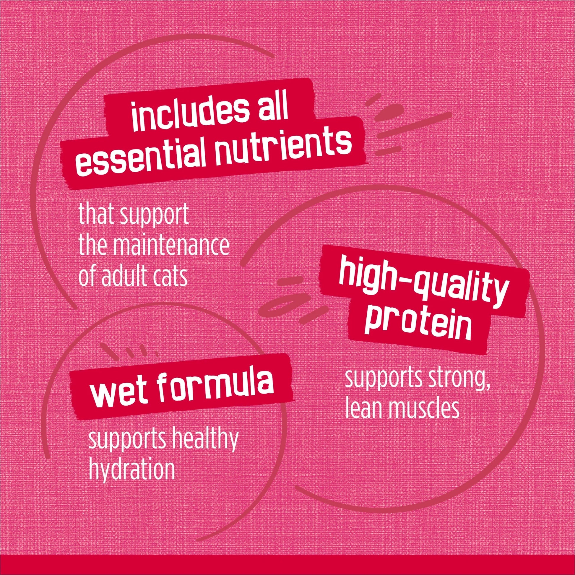 Purina  Prime Filets Salmon and Beef in Sauce Wet Cat Food, 5.5 oz Can