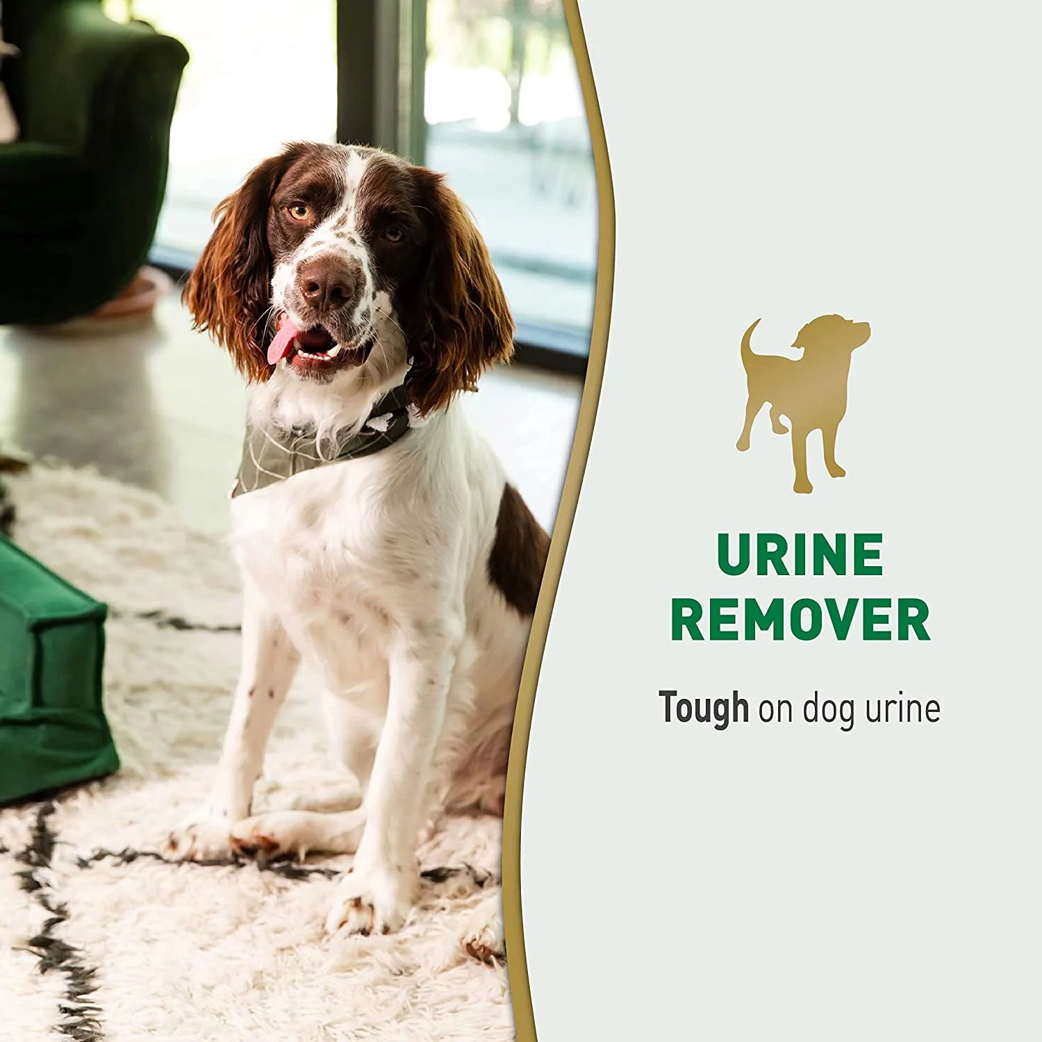 Enzymatic Dog Urine Remover for Carpets, Hard Floors, Fabrics, and Furniture - 24 Oz