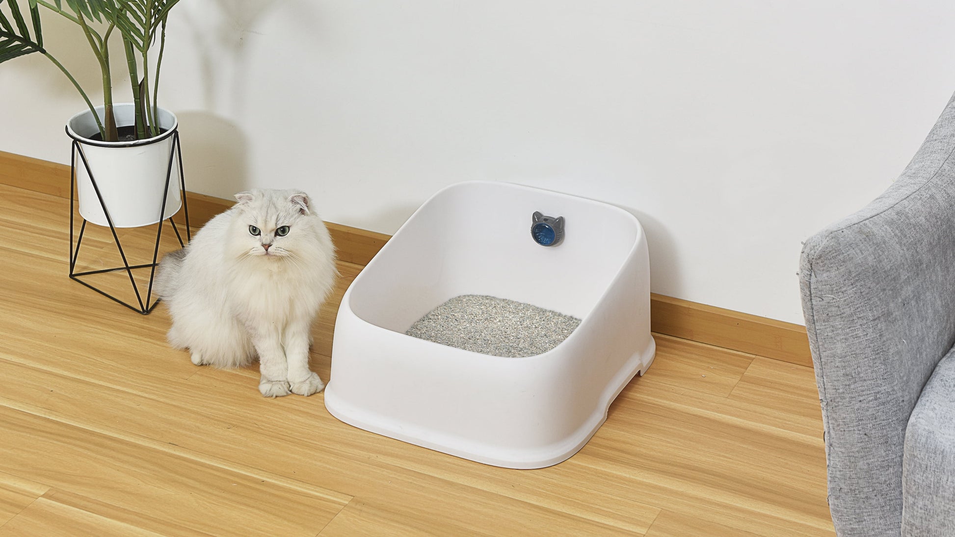 Litter Box Deodorizing Gel Pods, Cat Litter Box Deodorizer 1 Adhesive Pod 2 Refills