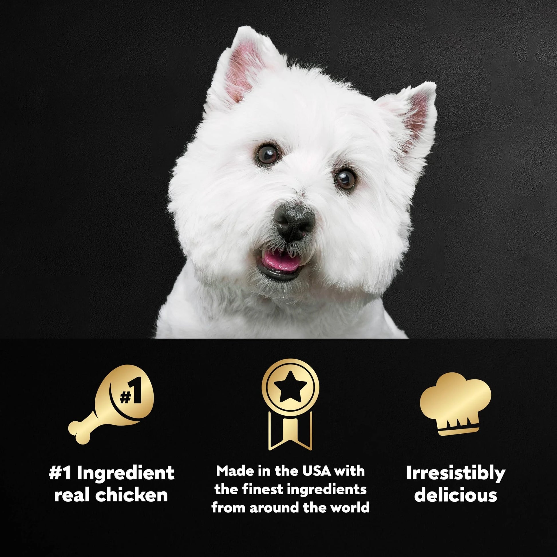 Classic Chicken and Liver Recipe Wet Dog Food in Sauce, 3.5 Oz Tray
