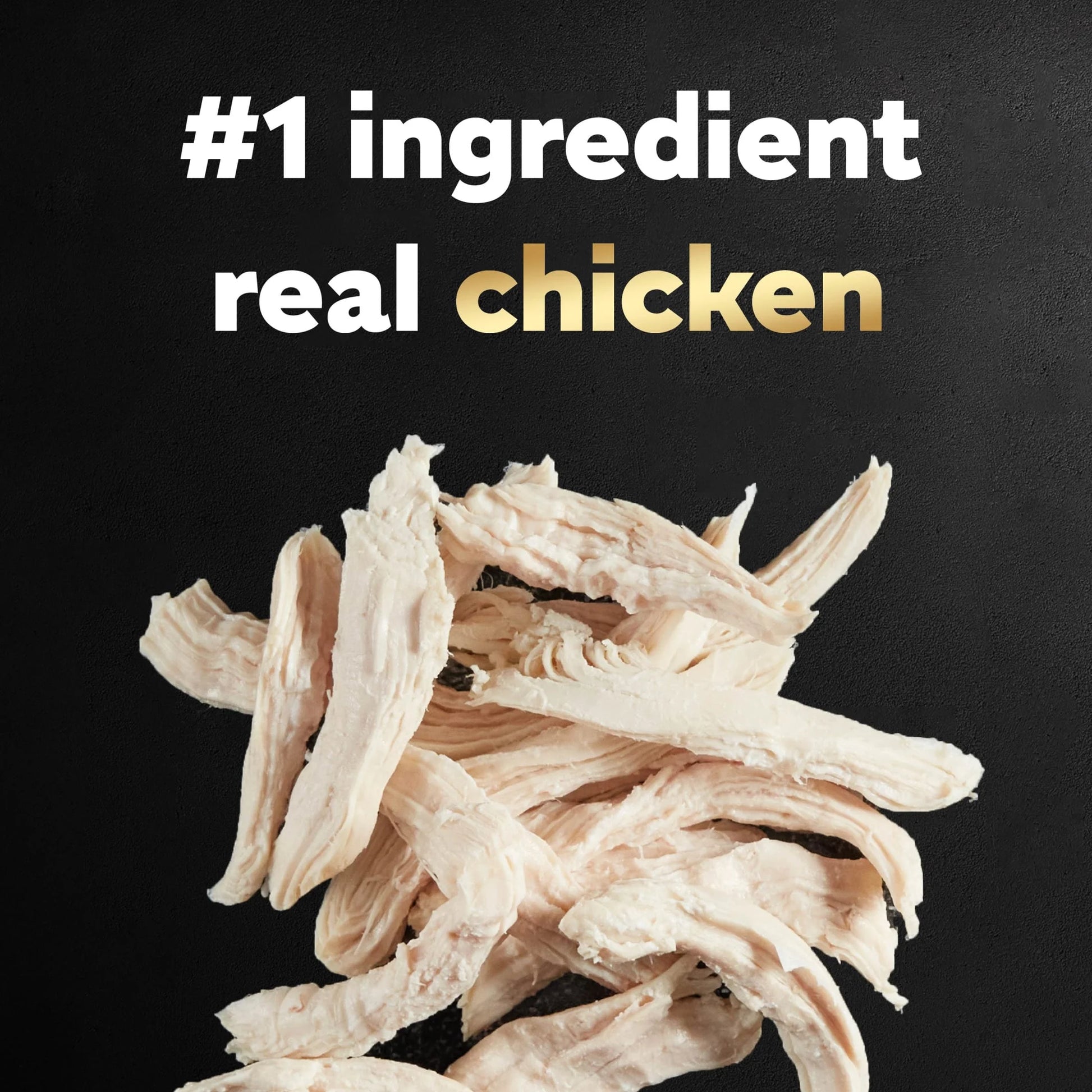 Classic Chicken and Liver Recipe Wet Dog Food in Sauce, 3.5 Oz Tray