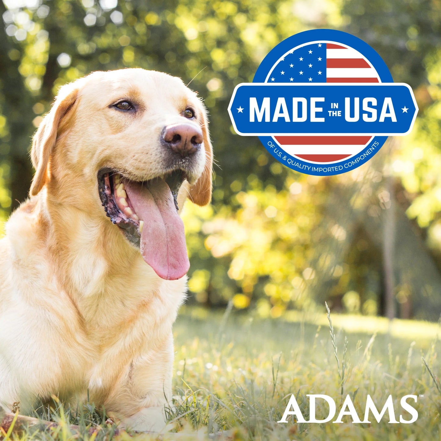 Flea and Tick Control Collar for Dogs and Puppies - Single Pack