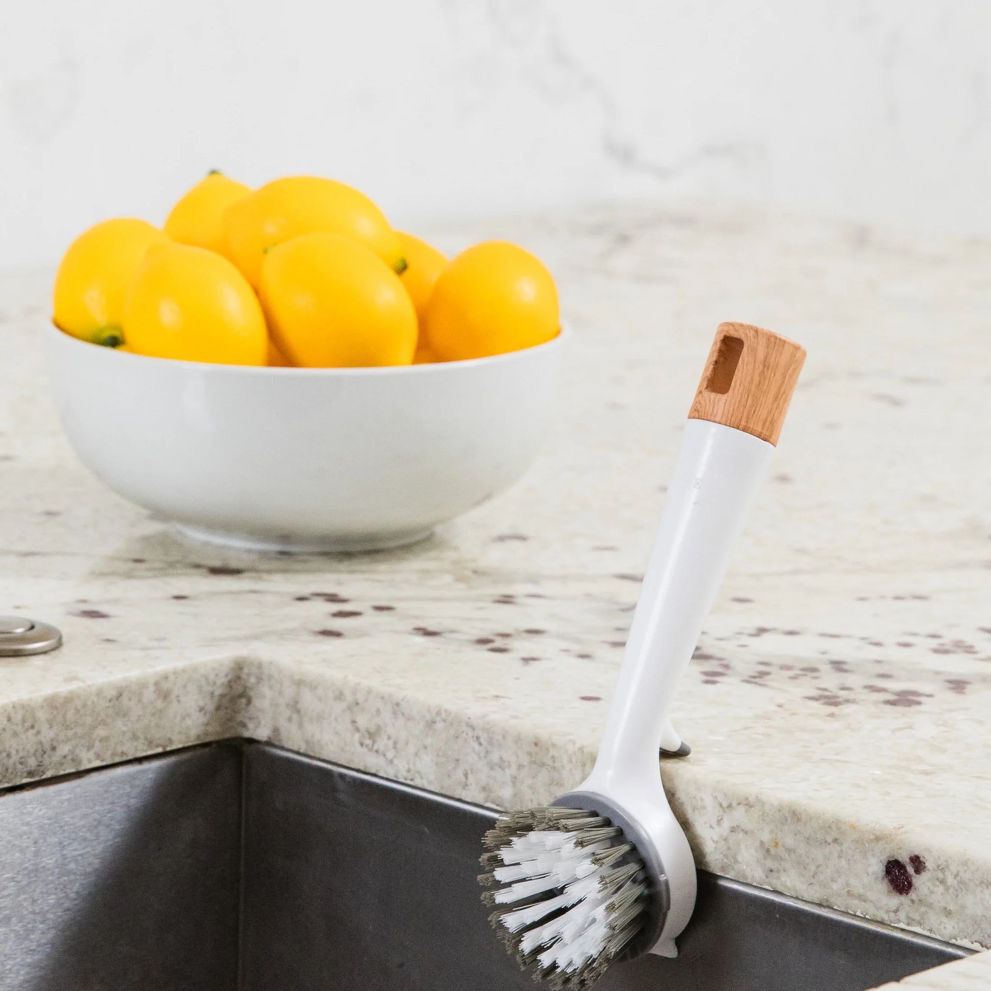 Dish Brush with Nylon Bristles