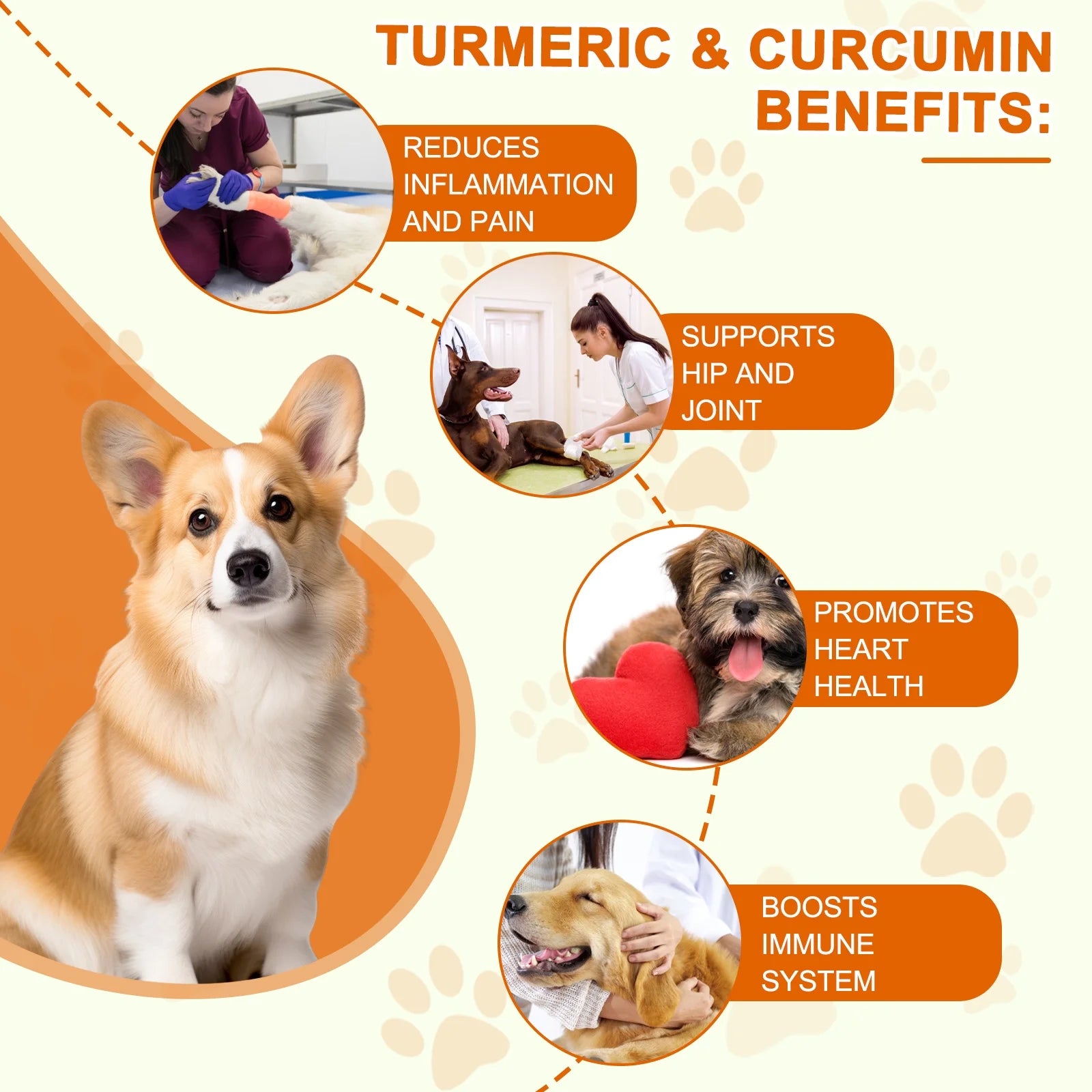 Turmeric Curcumin for Dogs - Dogs Hip and Joint Aid + Support - Heart & Immune Support - Health Supplement with Organic Turmeric, Vitamin B - 180 Chewable Tablets