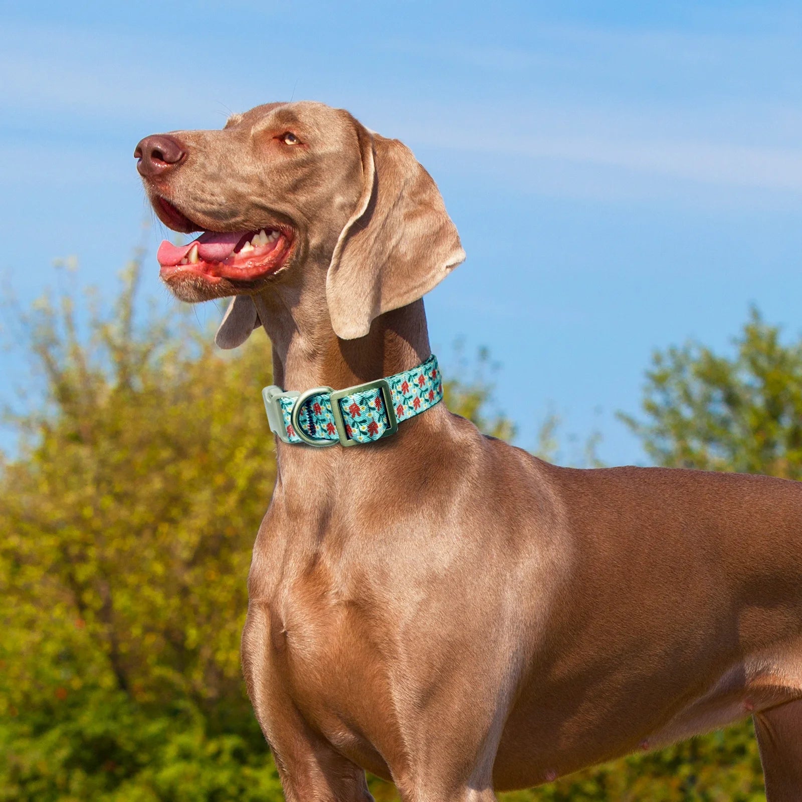 Stylish Dog Collar with Cyan Flower Pattern, Soft Nylon Design for Small to Large Dogs, Size S