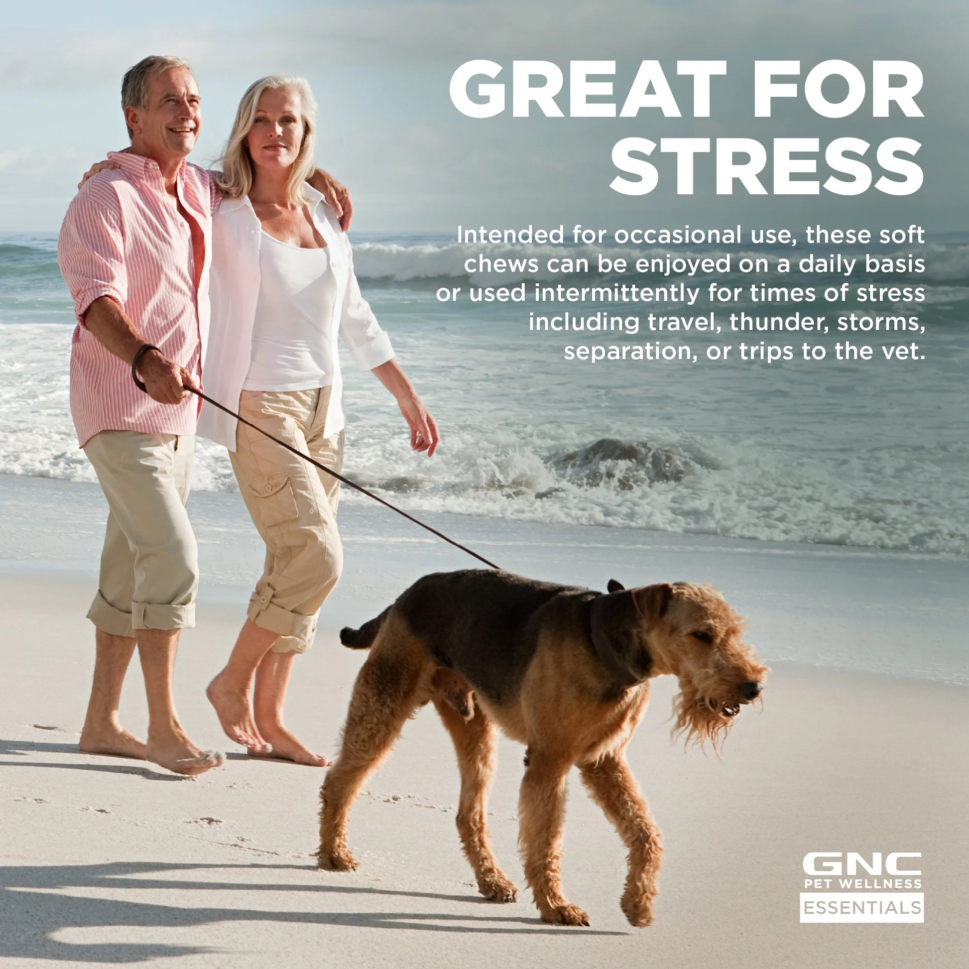 Pet Wellness Essentials Dog Calming & Relaxation for Stress Support Bacon Flavor Chews 60 Ct