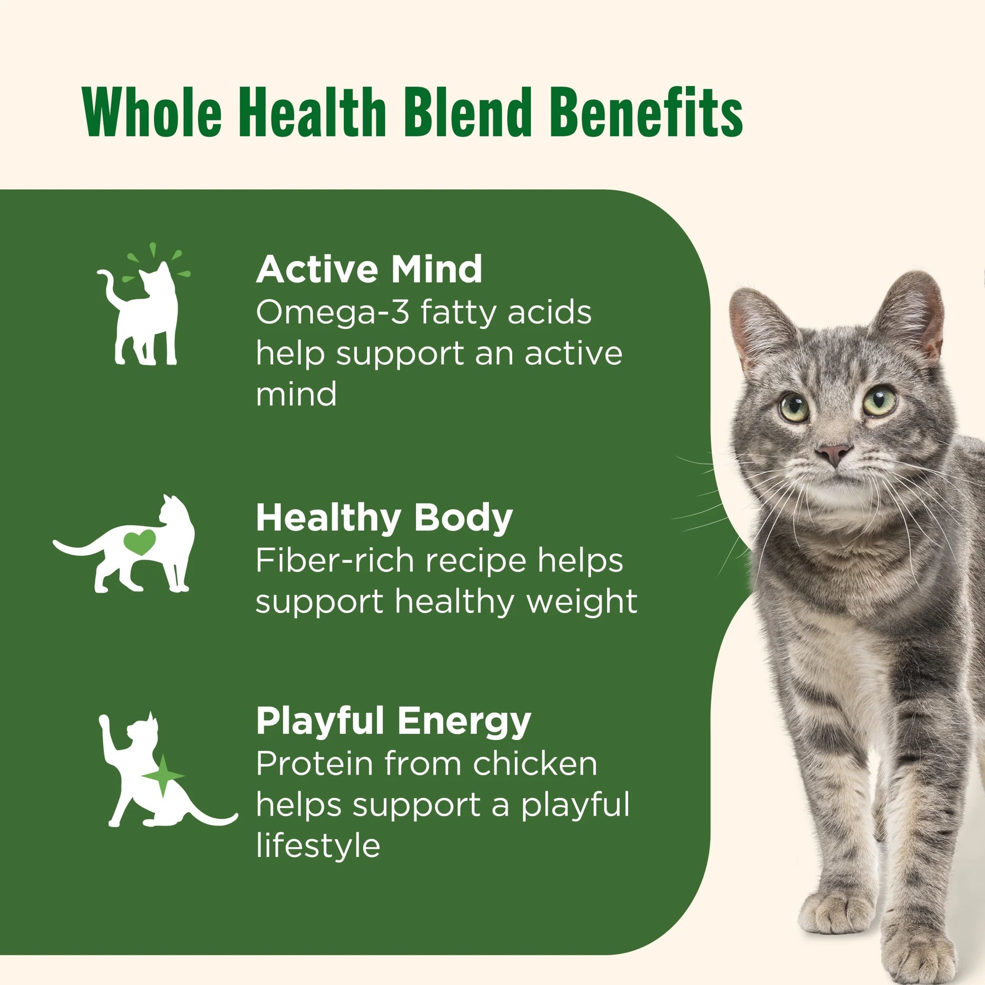 Real Chicken and Brown Rice Recipe Dry Cat Food, 14 lb Bag by Rachael Ray