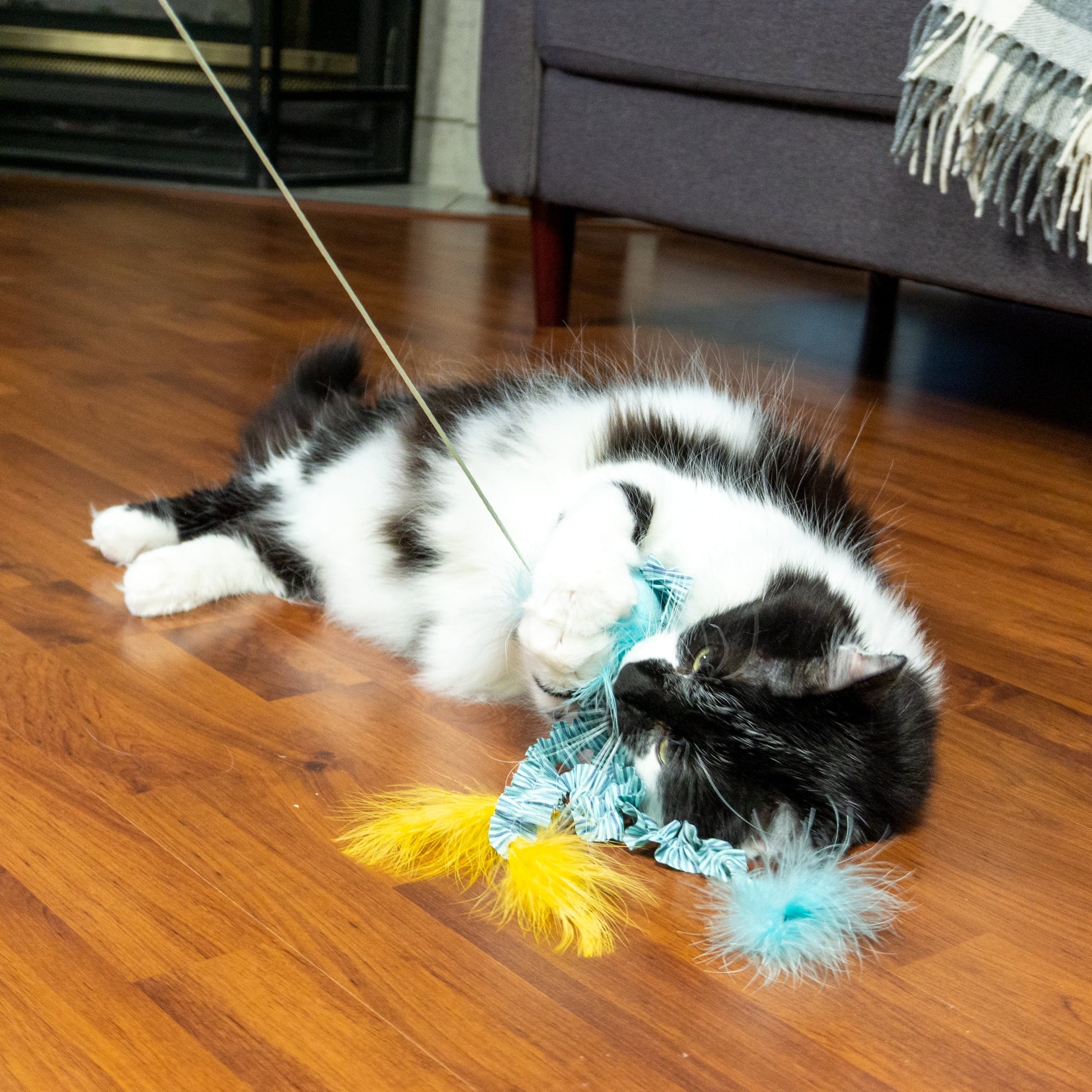 Cat Toy - Catnip-Infused Jellyfish Teaser