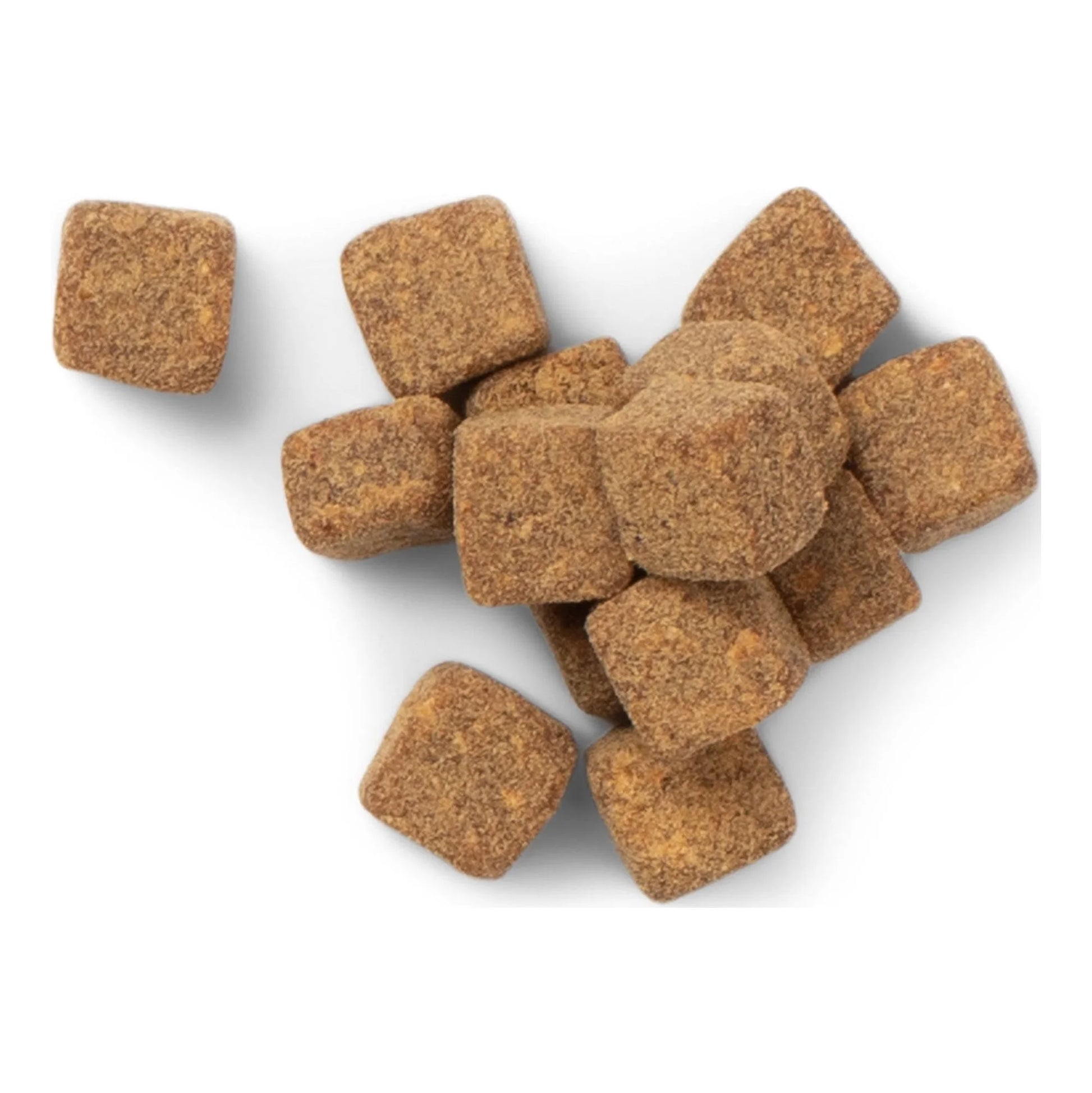 Pet Wellness Essentials Dog Multivitamin Supplement for Healthy Immune System, Soft Chews