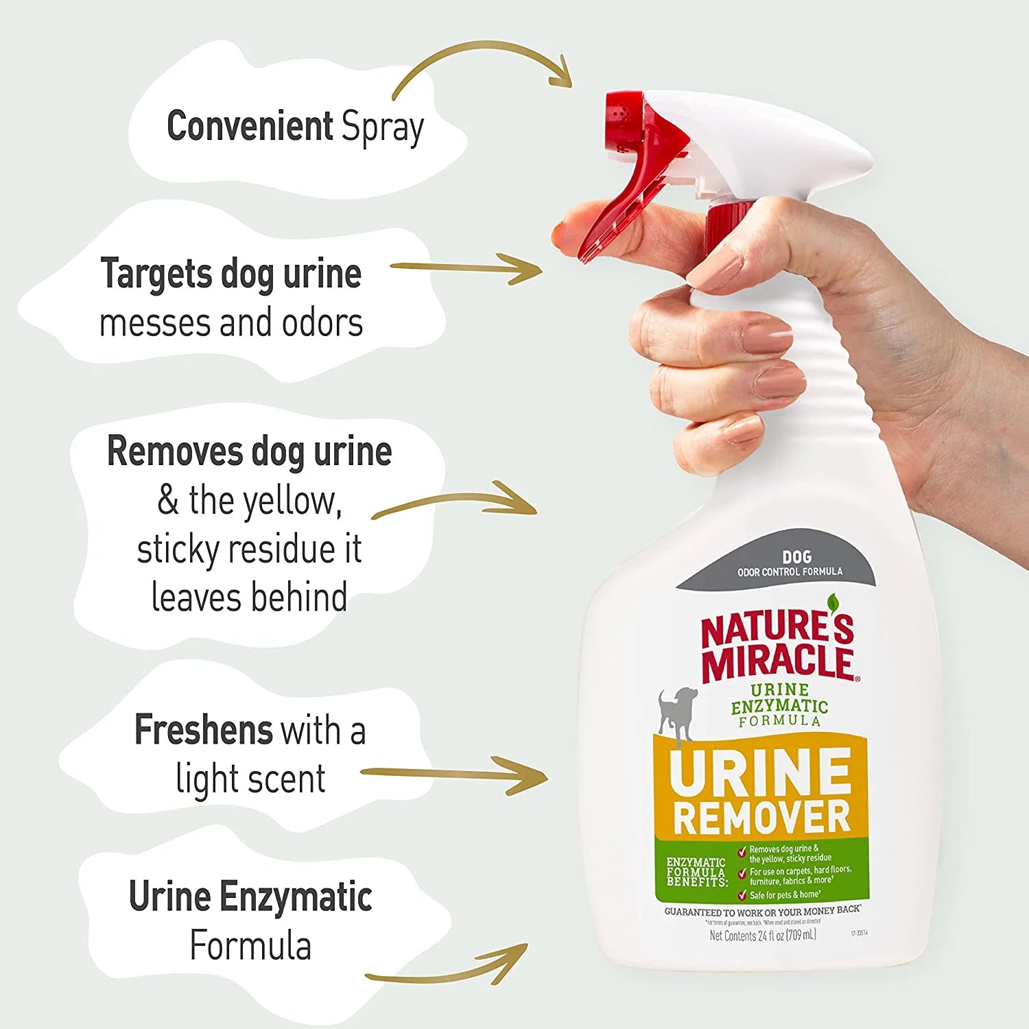Enzymatic Dog Urine Remover for Carpets, Hard Floors, Fabrics, and Furniture - 24 Oz