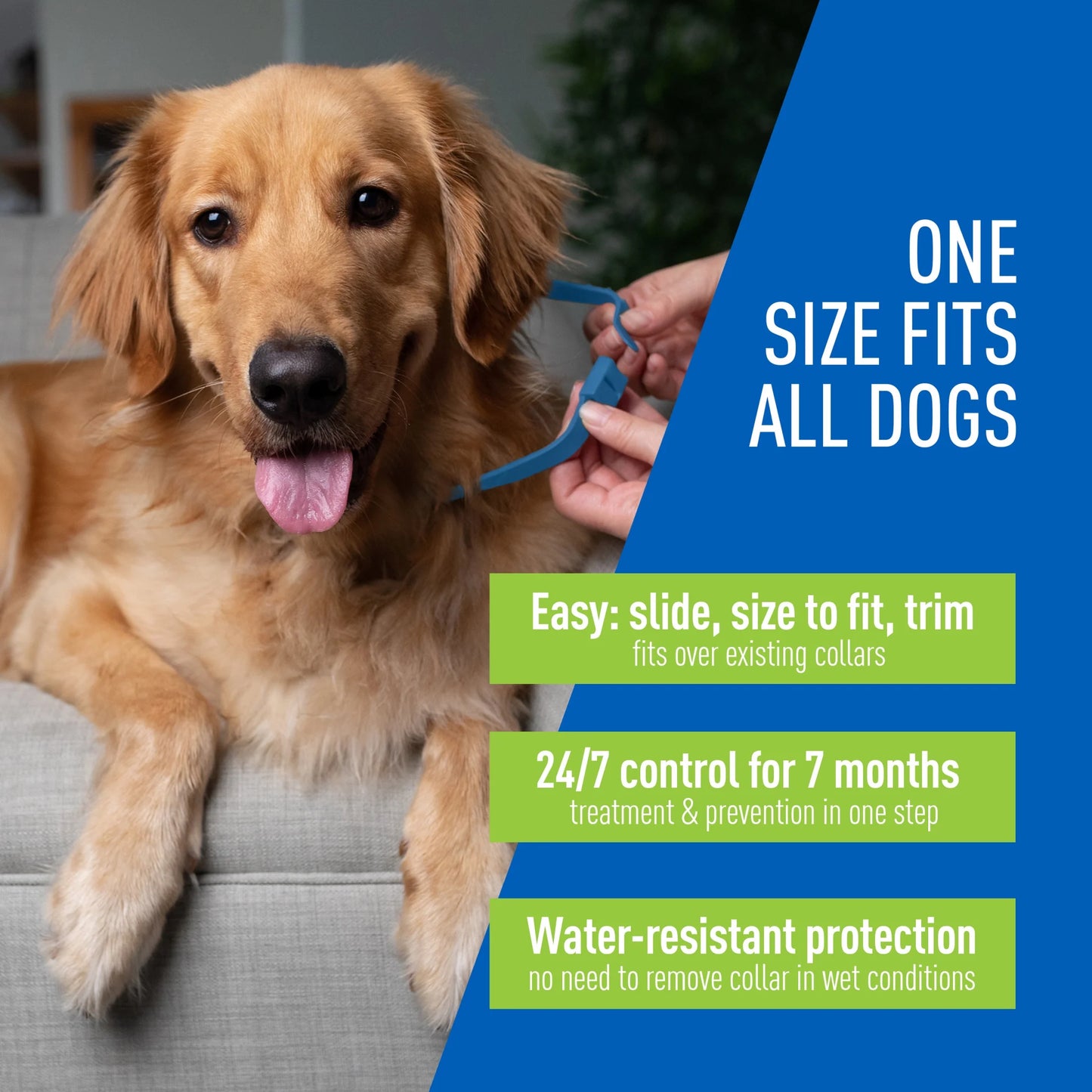 Flea and Tick Control Collar for Dogs and Puppies - Single Pack