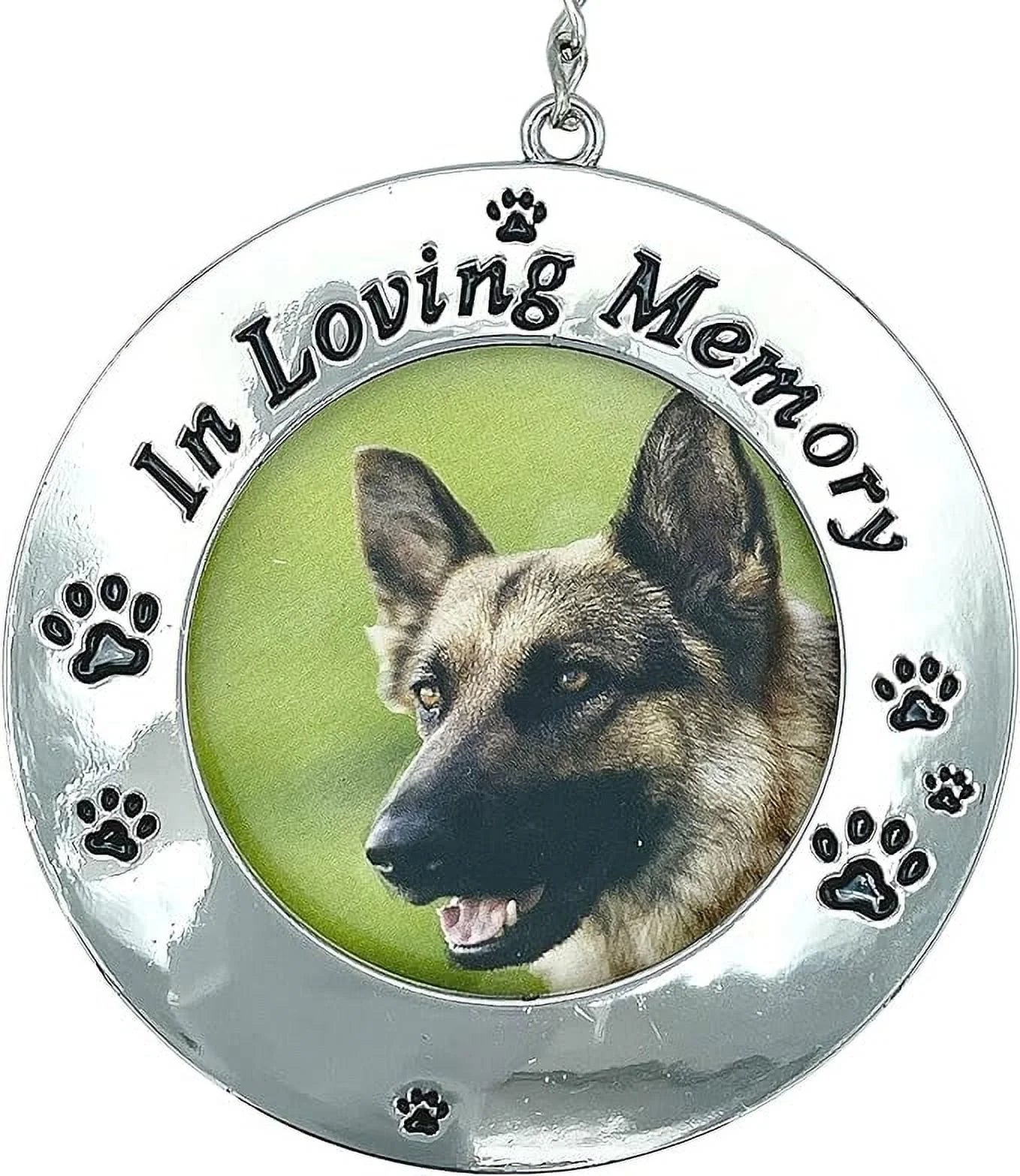 Pet Memorial Photo Frame Ornament in Loving Memory Pets Remembrance