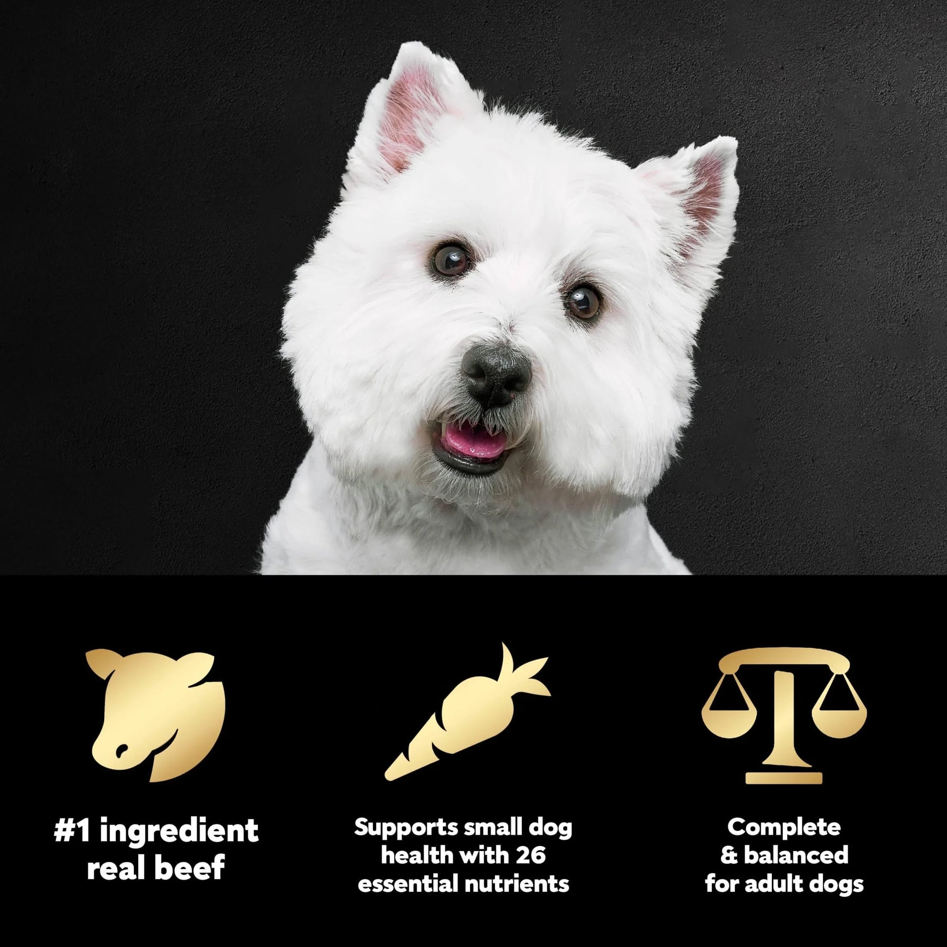 Filet Mignon with Spring Vegetables Dry Dog Food, 5 lb Bag