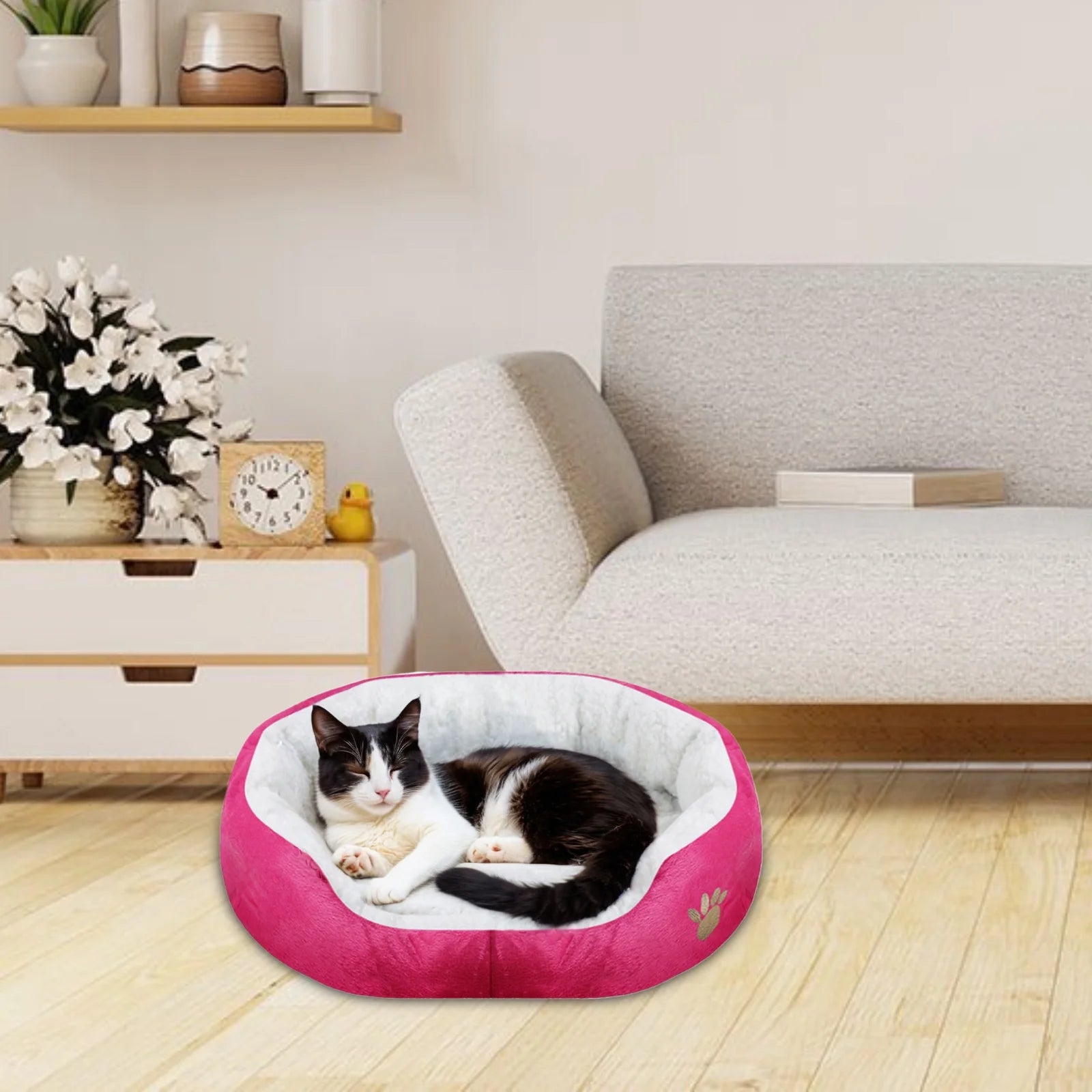 Dog Beds for Small Dogs Puppy Bed Pet Cats Bed with Removable Cushion for Indoor Cats Dogs