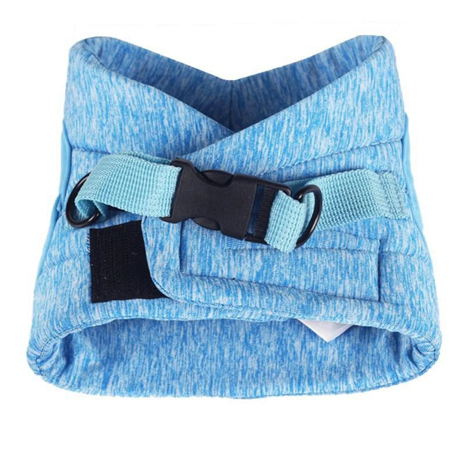 Cat Harness and Leash Set for Walking - Escape-Proof Soft Adjustable Vest, Breathable Jacket in Blue, Size Large (10-15.5 lbs)