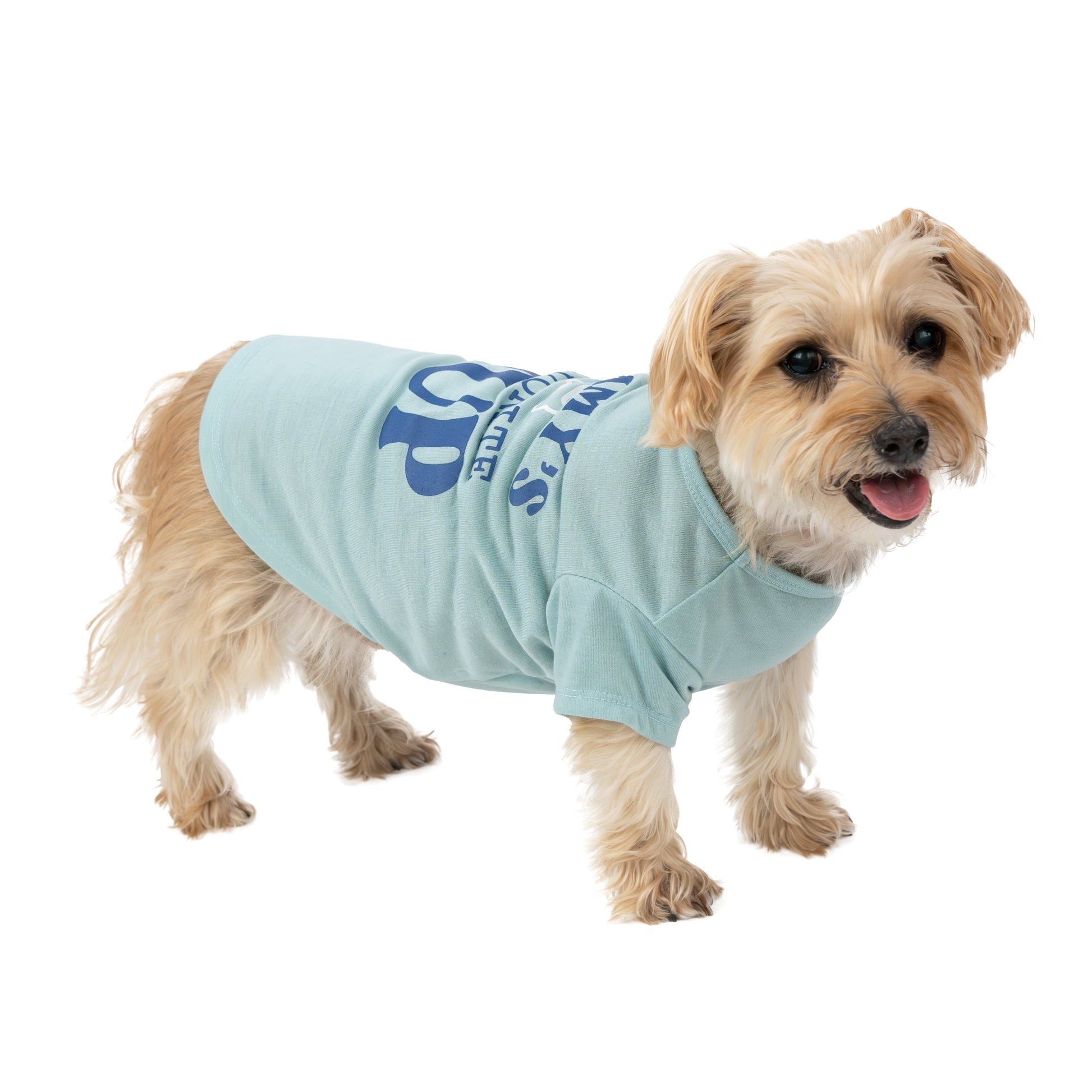 Women's Preferred Dog T-Shirt, Blue, Small