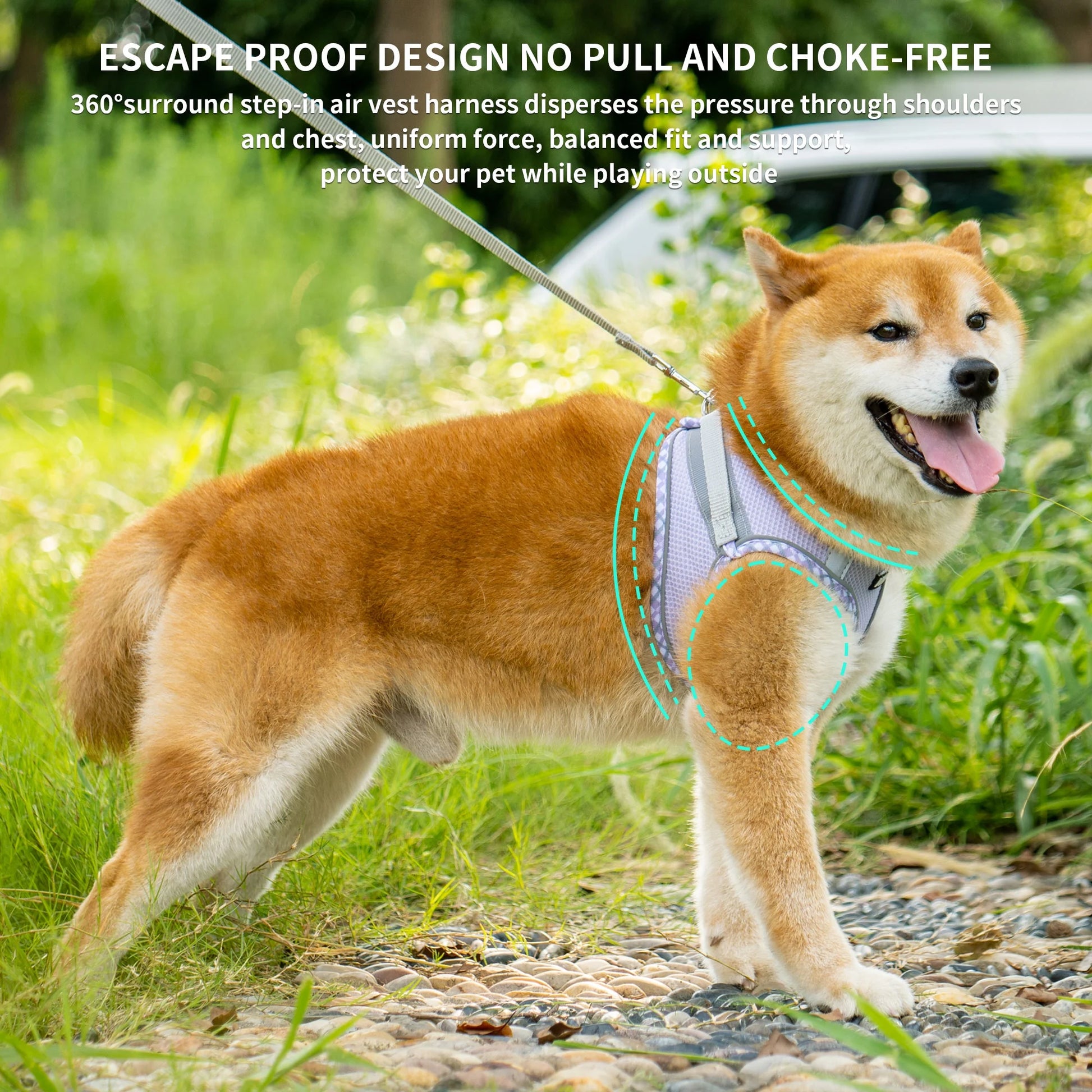 Extra Small Dog and Cat Harness with Leash, No-Pull Design, Quick-Release Buckle, Reflective Outdoor Vest in Purple, XXS