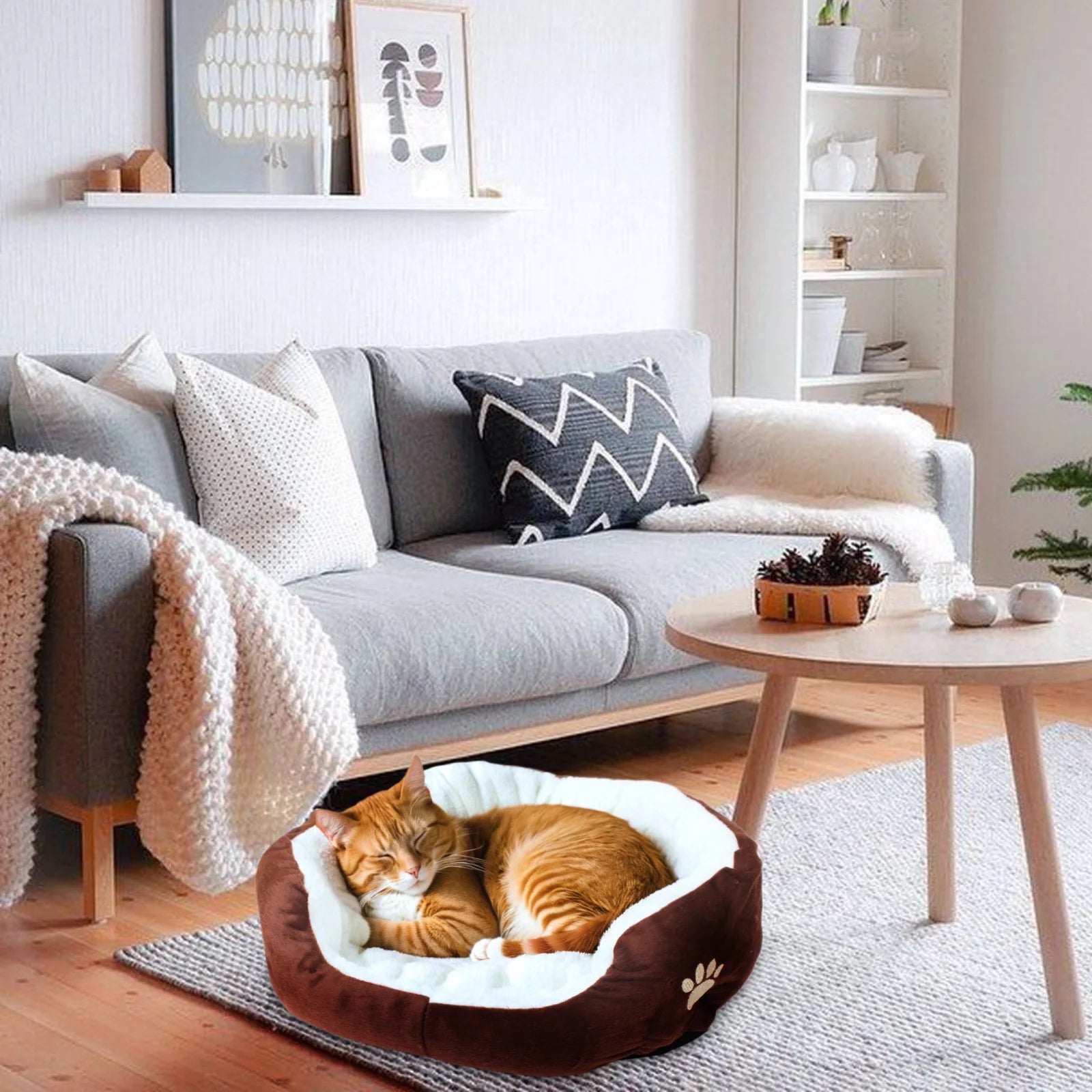 Dog Beds for Small Dogs Puppy Bed Pet Cats Bed with Removable Cushion for Indoor Cats Dogs, Brown