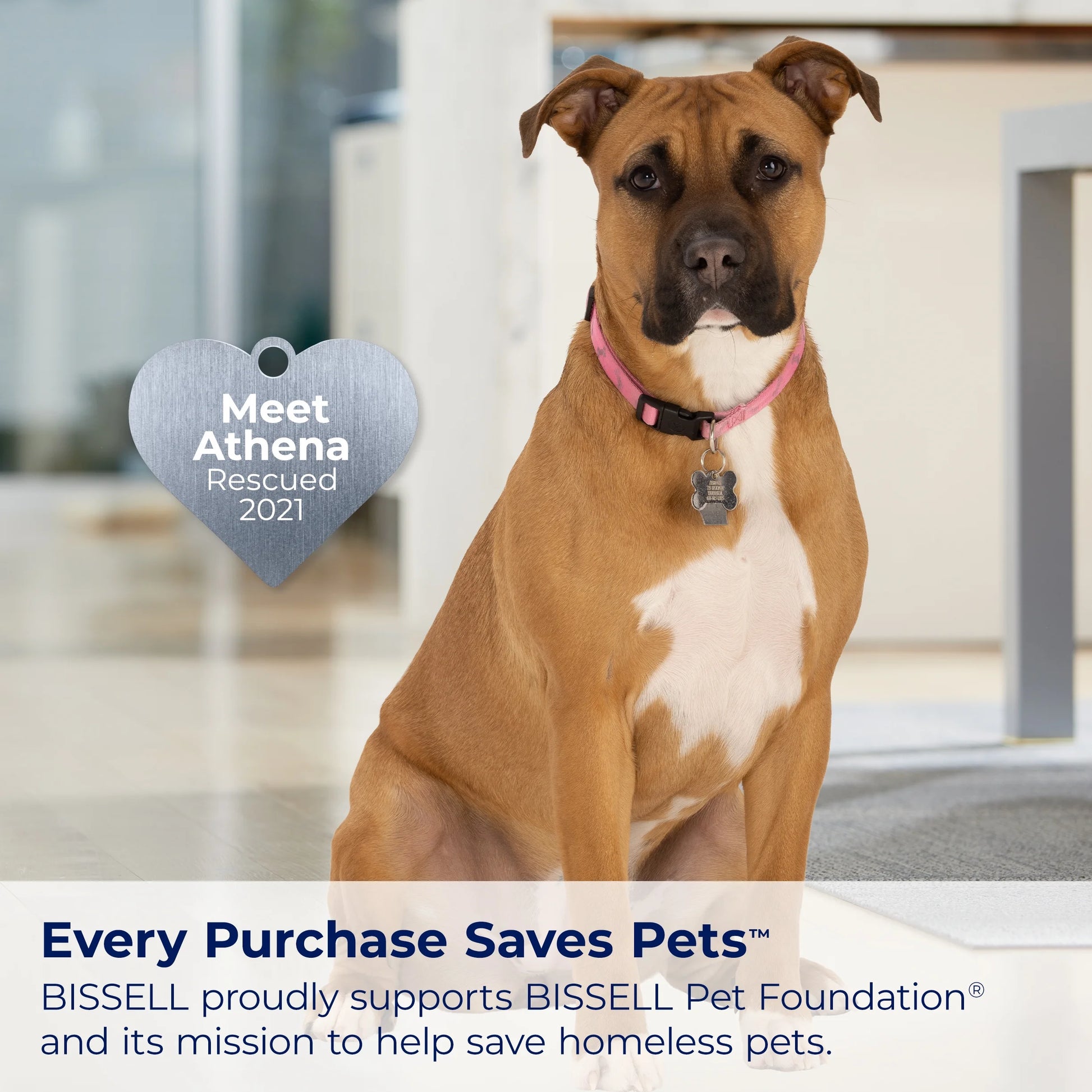 Powerforce Pet XL Upright Deep Carpet Cleaner Model 3748