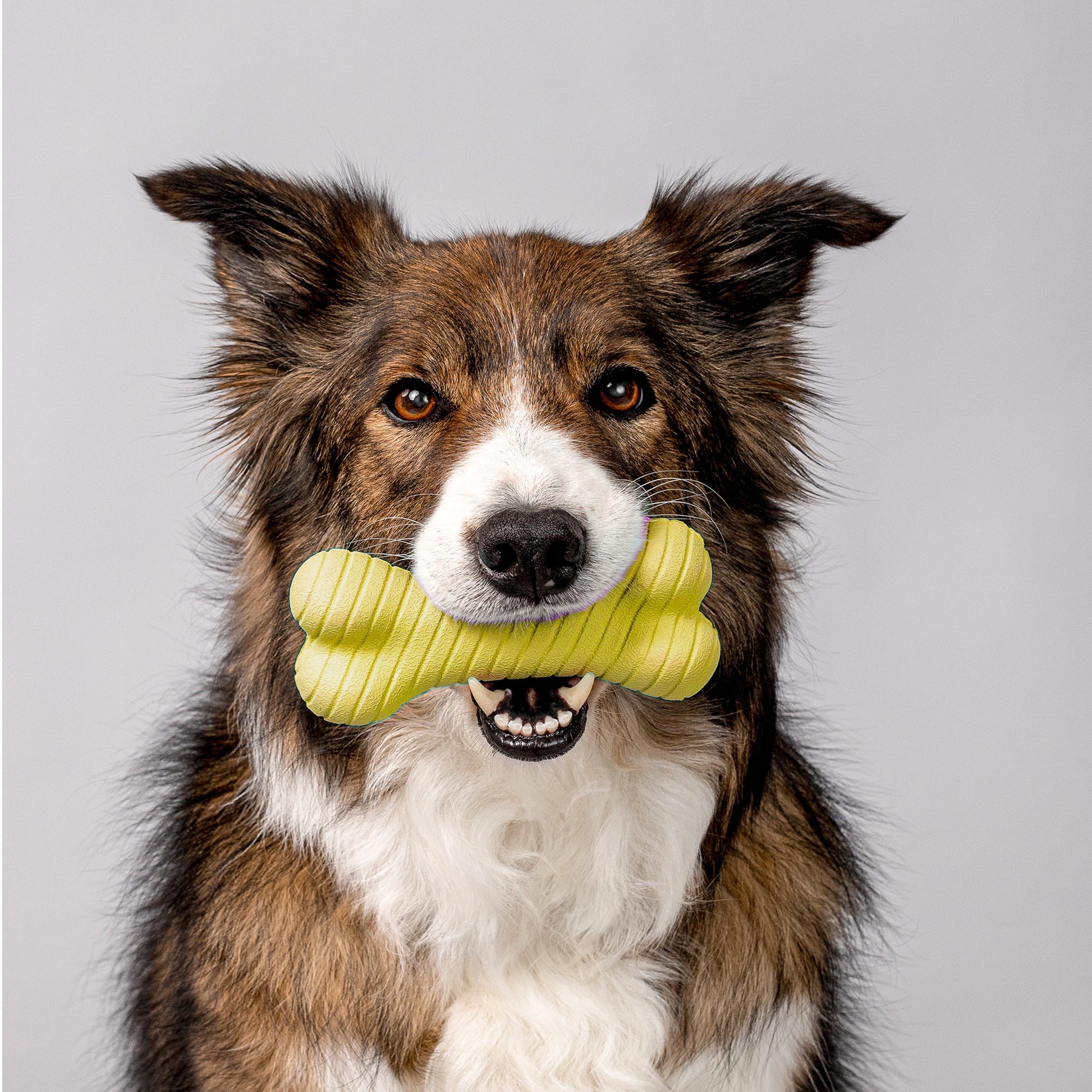 Dual Layer Chicken-Scented Bone Dog Toy for Medium Breeds in Yellow