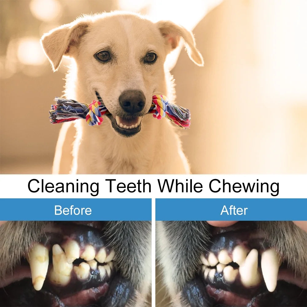 Durable Dog Chew Toys - 8 Pack Interactive Washable Rope Toys for Aggressive Chewers, Ideal for Puppies and Small to Medium Dogs