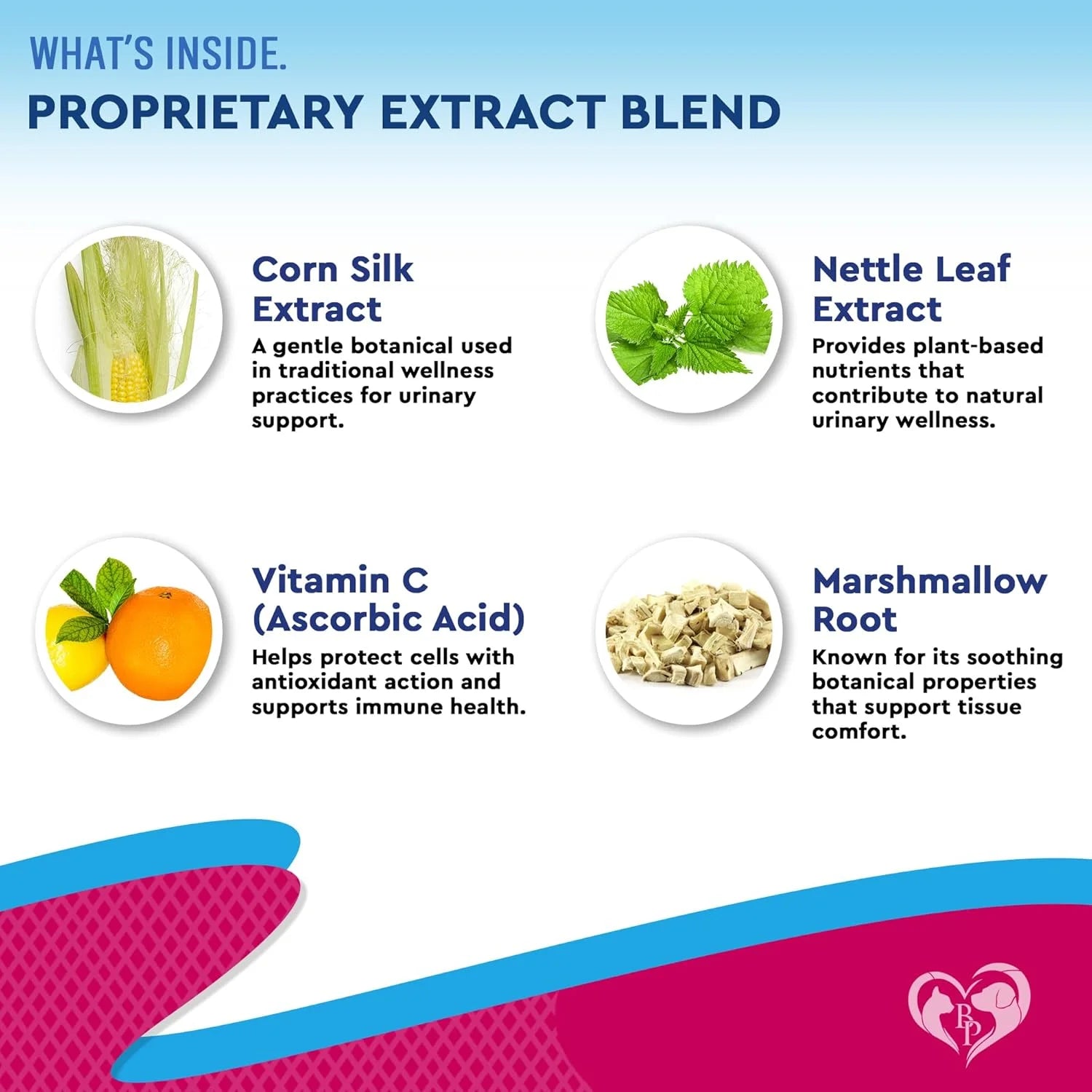 Cat & Dog Urinary Tract Infection Treatment & Natural UTI Cranberry -Kidney+Bladder Support Supplement - Best Prevention Urine Incontinence, Bladder Stones - Pet Renal Health & UTI Care Drops