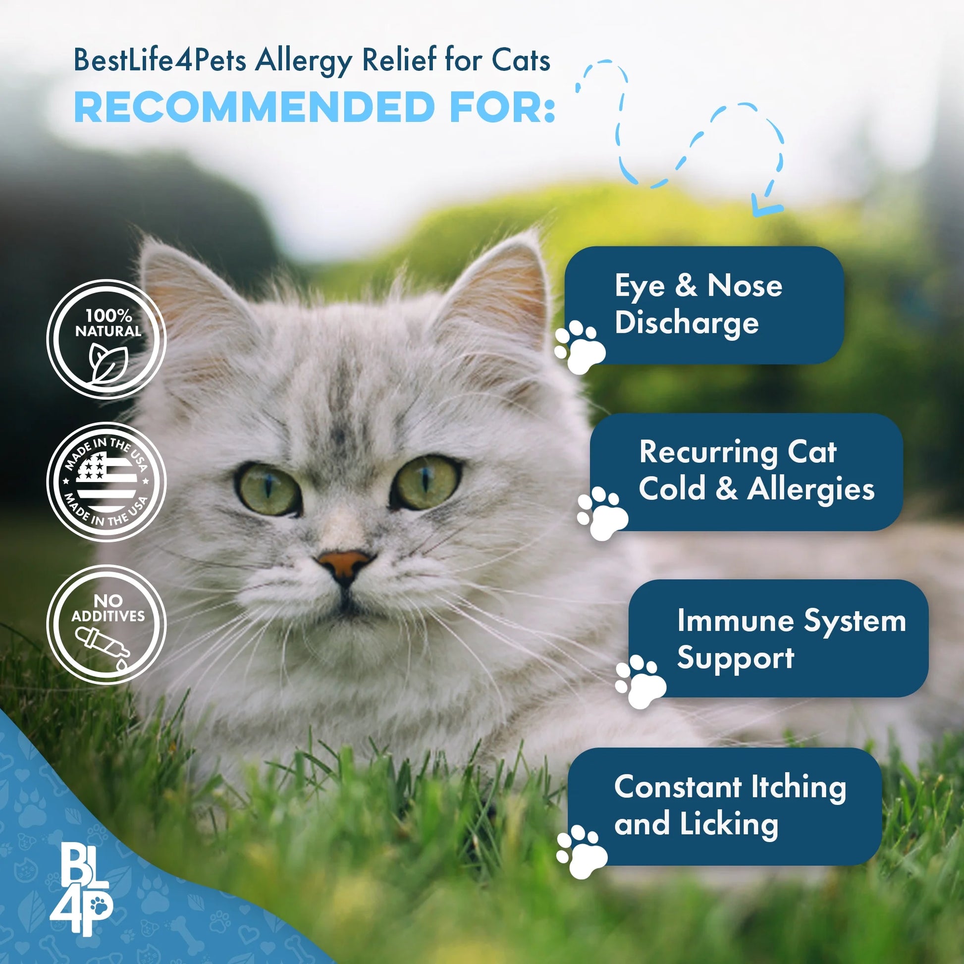 Cat Allergy Relief & Immune Support - Natural Relief for Seasonal Allergies, Itching & Respiratory Infections