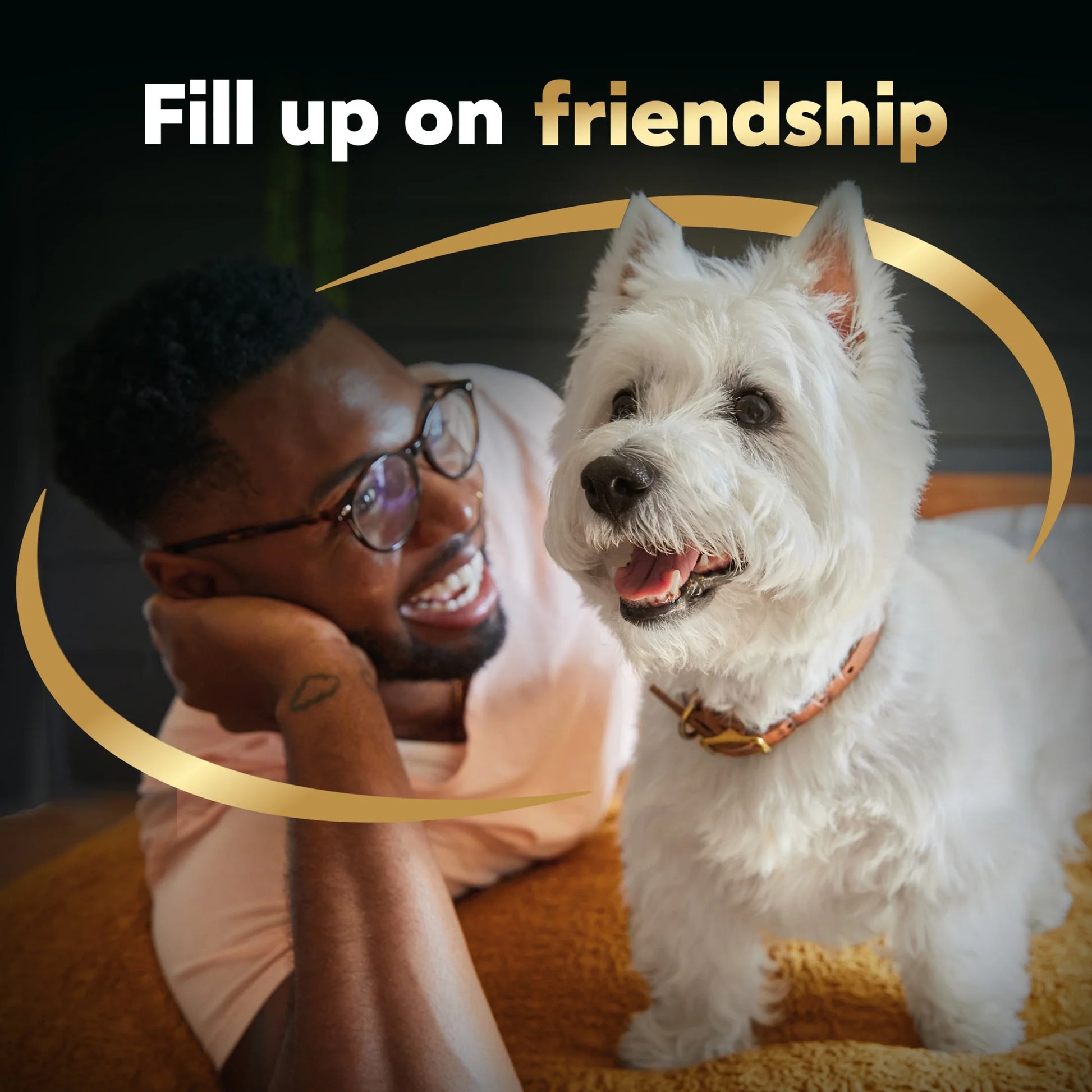 Angus Beef with Bacon and Cheese Wet Dog Food Loaf and Topper, 3.5 Oz Tray