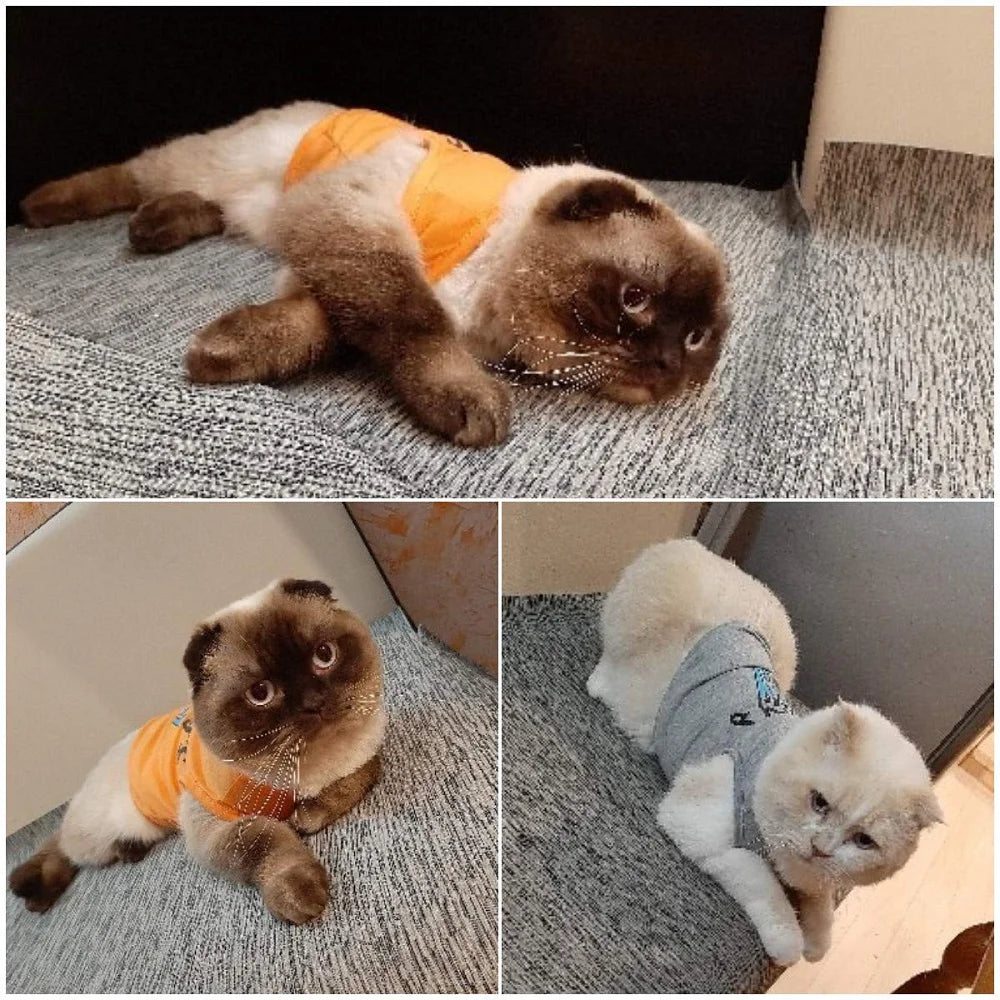 2-Pack Mommy's Boy Dog Shirt for Male Puppies - Apparel for Small Dogs, Including Chihuahuas, Yorkies, and Bulldogs (Small, Gray and Orange)