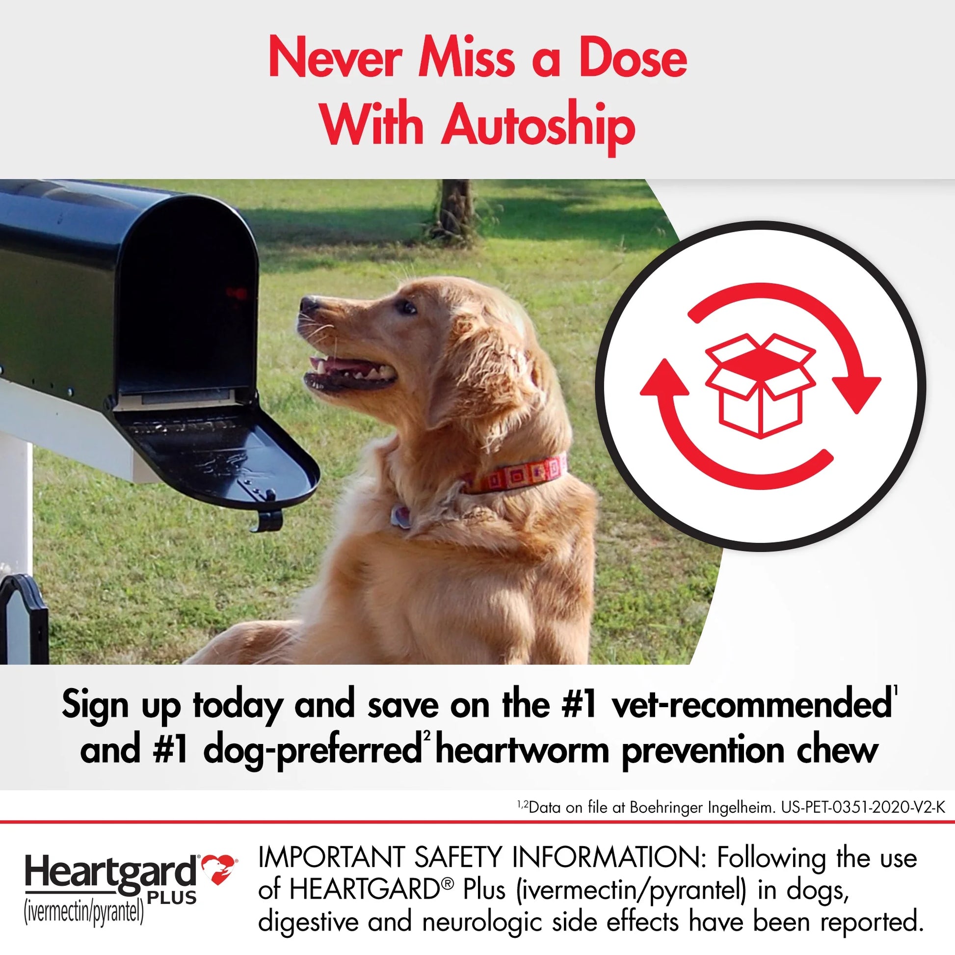 Chews for Dogs, 0-25Lbs, (Blue Box)