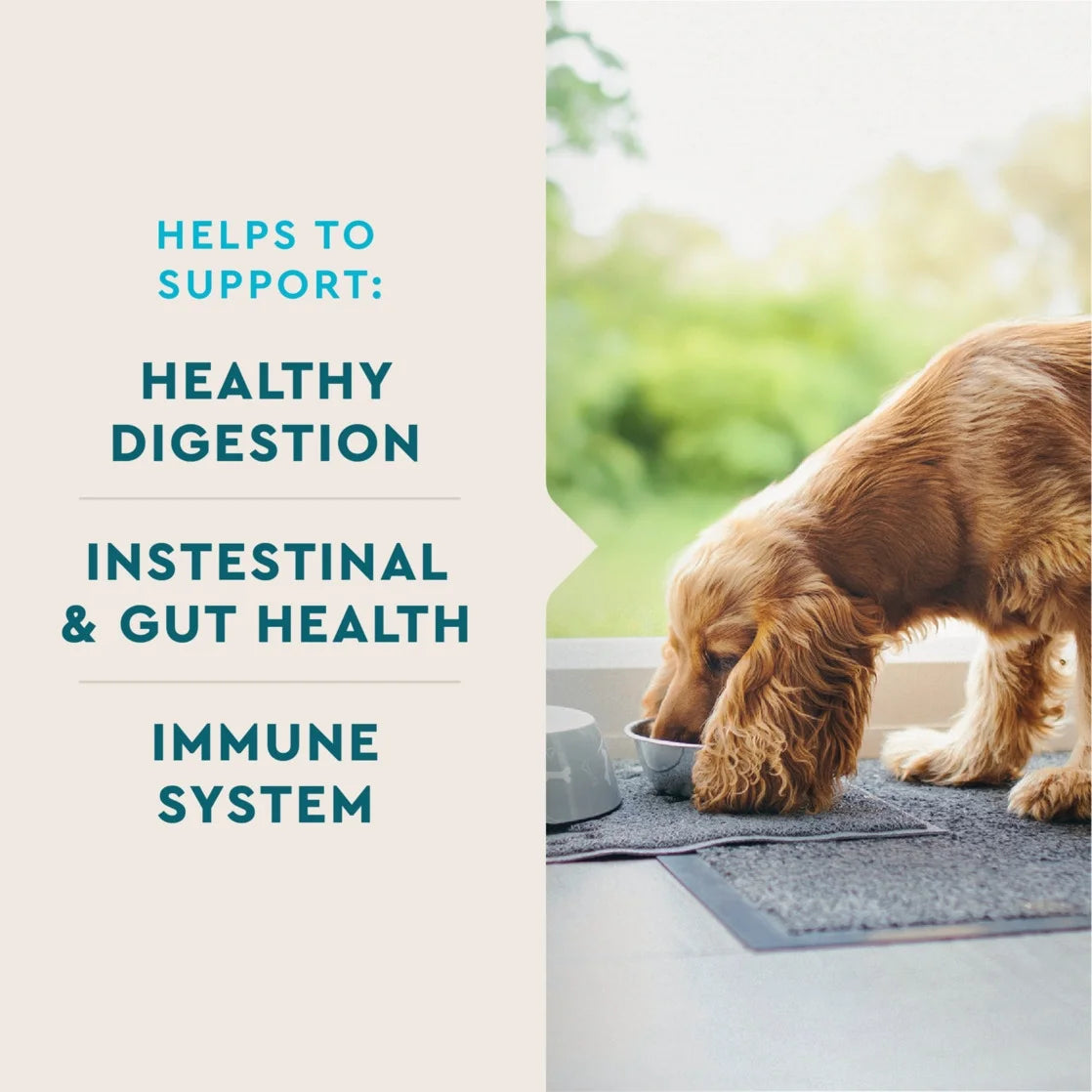 Probiotic Supplement for Dogs, Hickory Smoke Flavored Soft Chew 60 Count