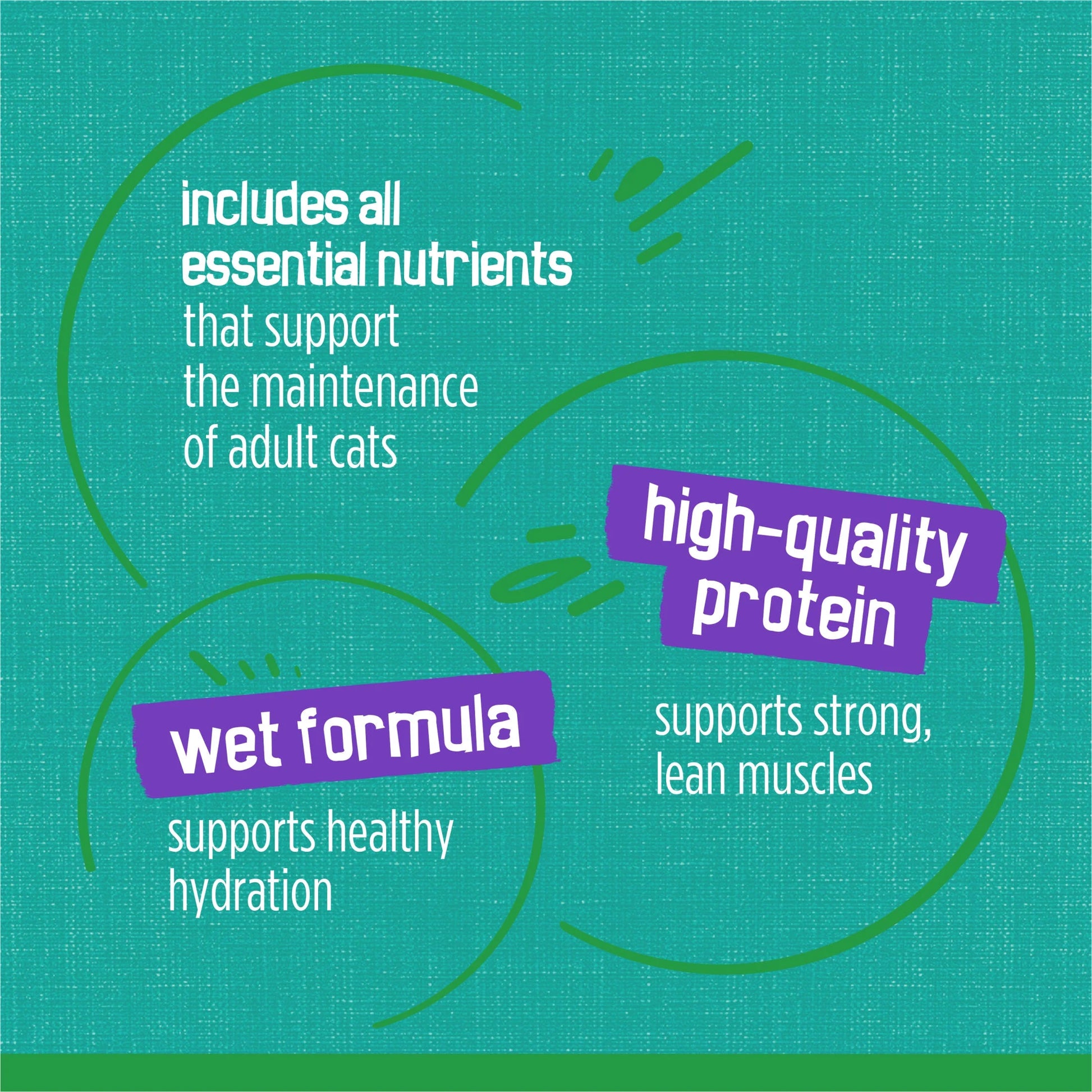 Purina  Indoor Saucy Seafood Bake Wet Cat Food, 5.5 oz Can