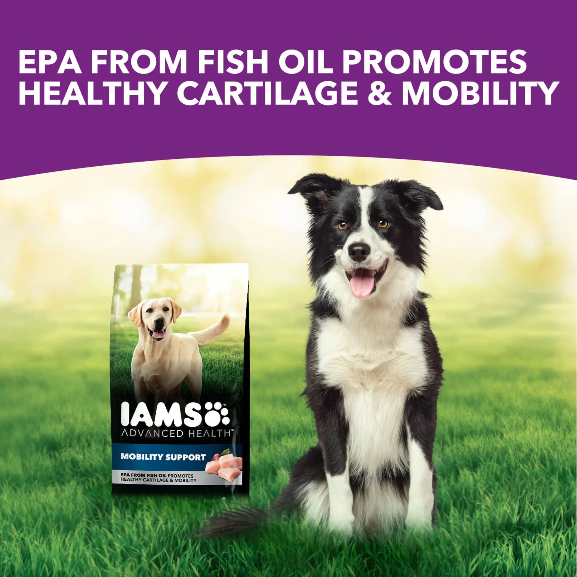 Advanced Health Mobility Support Chicken and Whole Grain Recipe Adult Dry Dog Food, 13.5 lb Bag