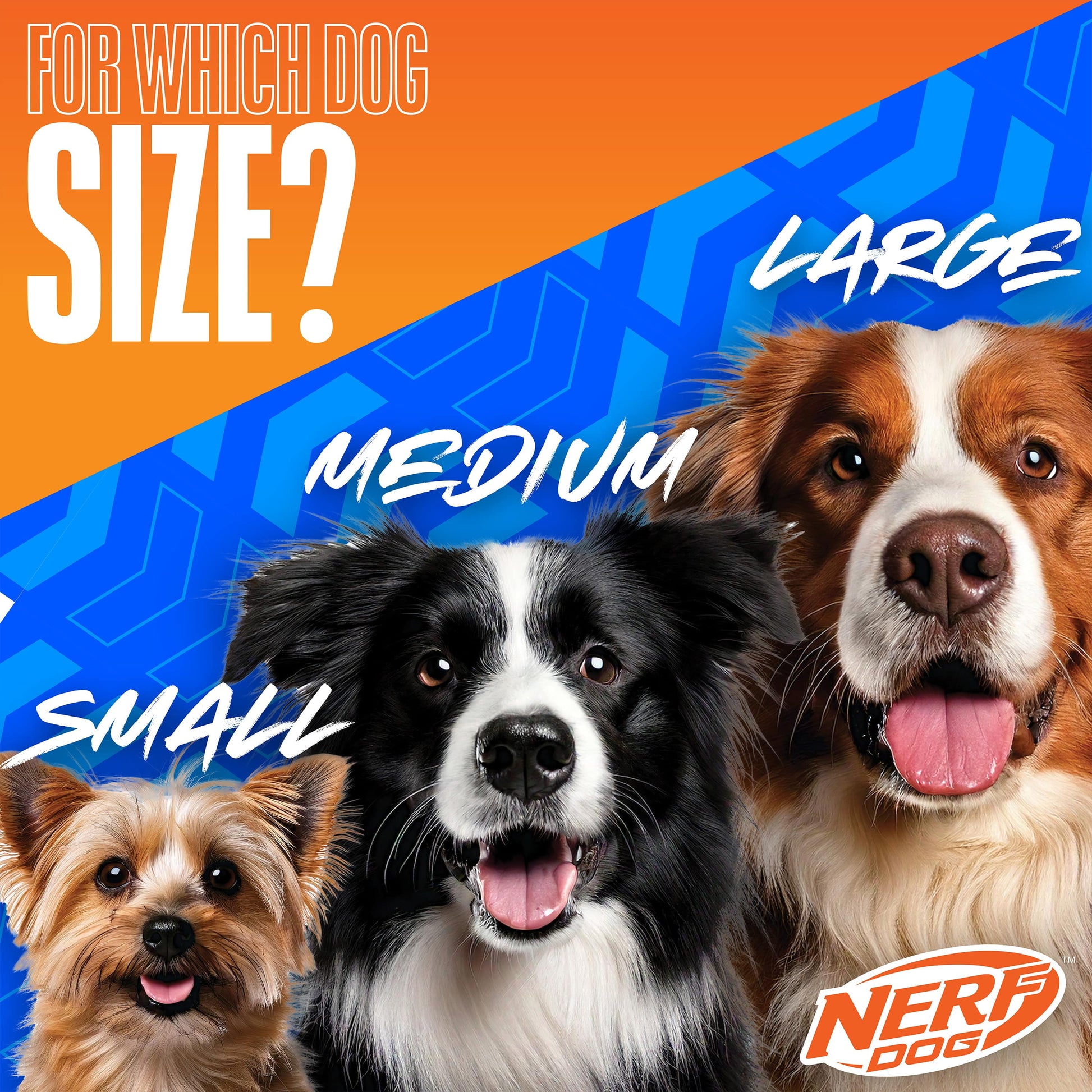 Compact Tennis Ball Launcher with Two Balls, 12-Inch