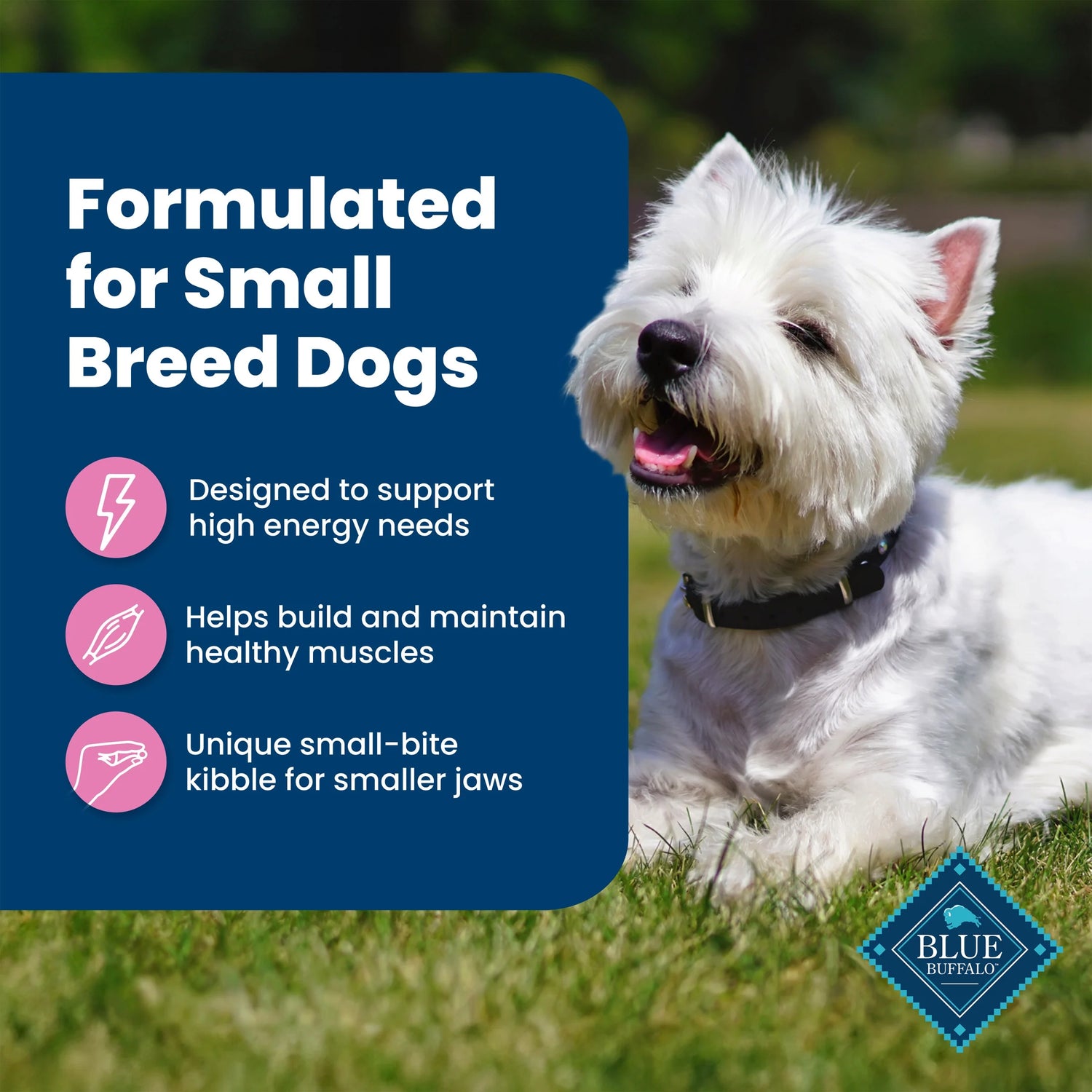 Premium Life Protection Formula Small Breed Dry Dog Food with Chicken & Brown Rice - 5 lbs.