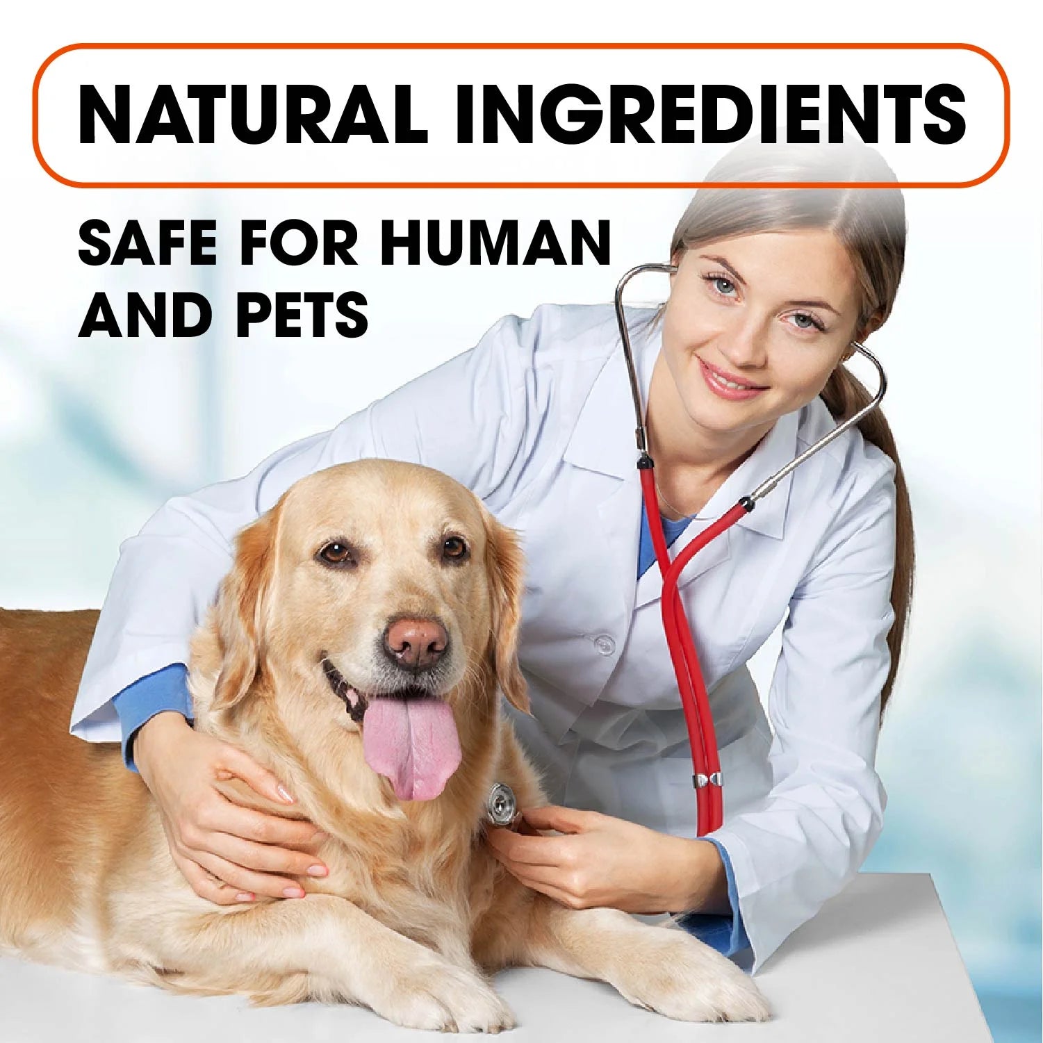 12-Month Adjustable Natural Herbal Dog Collar - 25” for All Breeds - Durable Essential Oils Protection - Waterproof and Comfortable Design