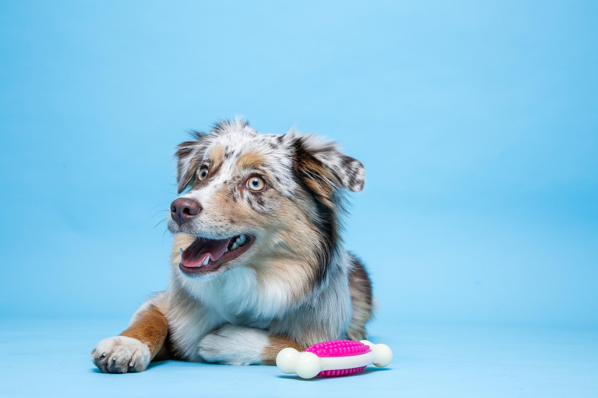 Chew 'N Clean Tuff Bone Dog Toy, Medium Nylon with Bacon Scent