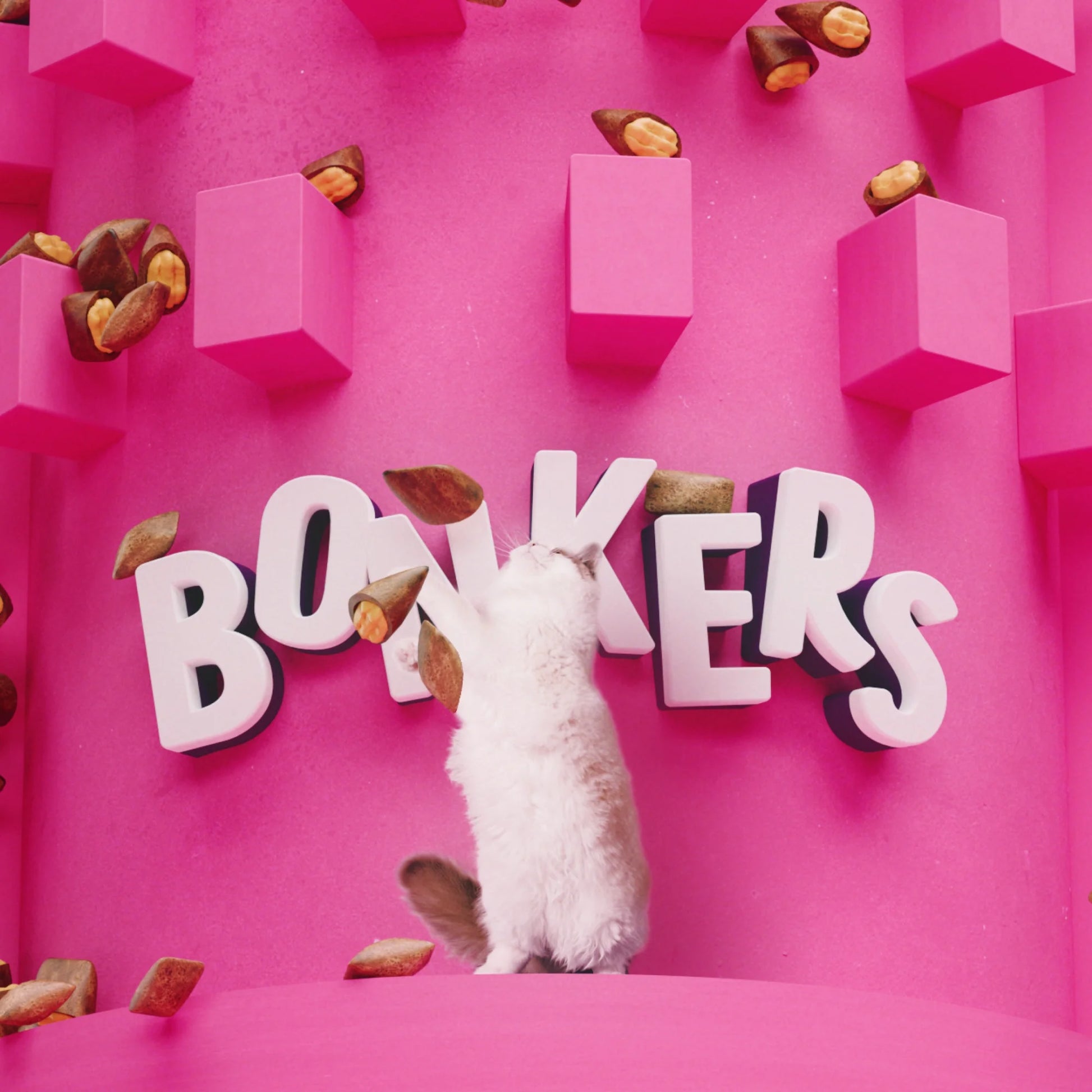 Chicken Flavor Cat Treats, Crunchy and Soft Snacks for Cats, 3 Oz Bag