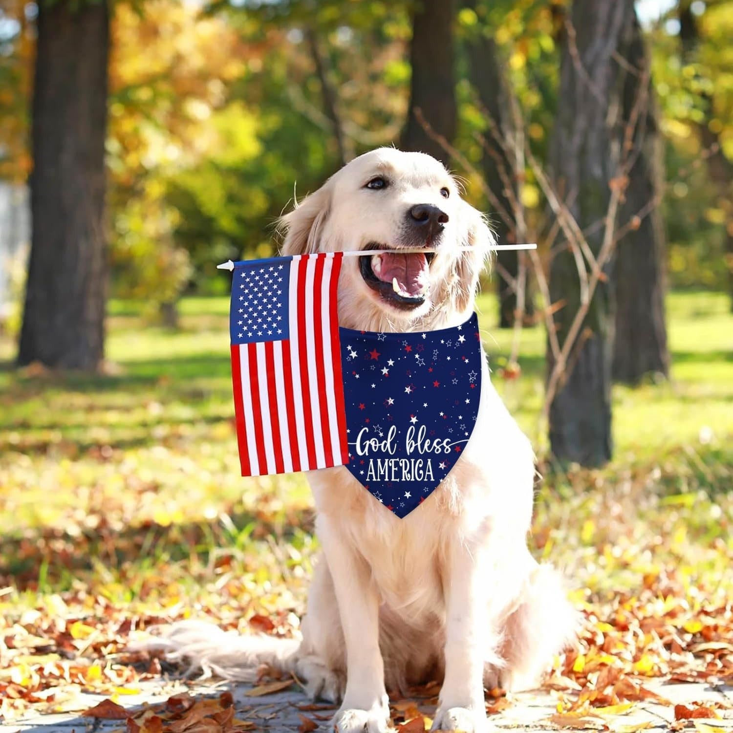 4Th of July Dog Bandanas, Patriotic Party Pet Decorations 2 Pack, Adjustable Ind