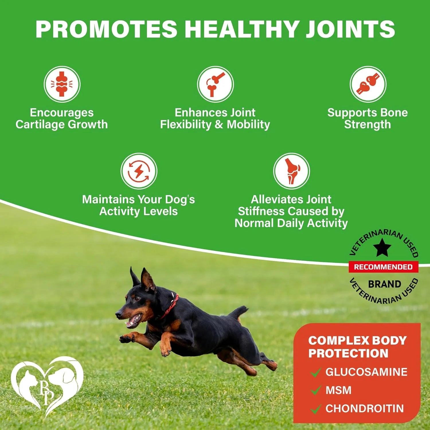 Dog Hip and Joint Supplement & Arthritis Pain Relief Treats - Glucosamine Chondroitin MSM Soft Chews for Senior Dogs - Natural Medicine & Support Mobility - Turmeric Vitamins for Dysplasia - USA