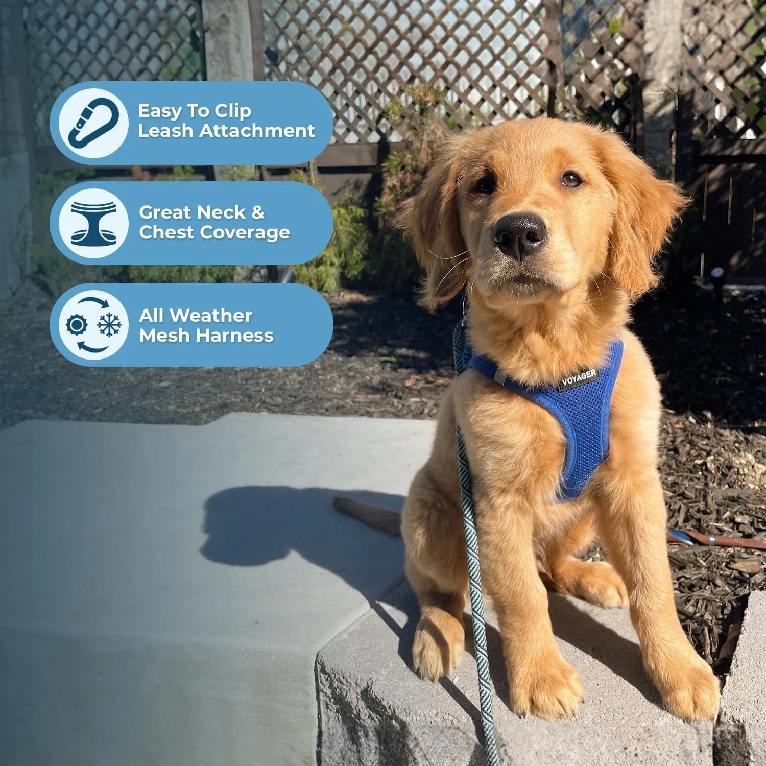 Step-In Air Mesh Dog Harness by Best Pet Supplies