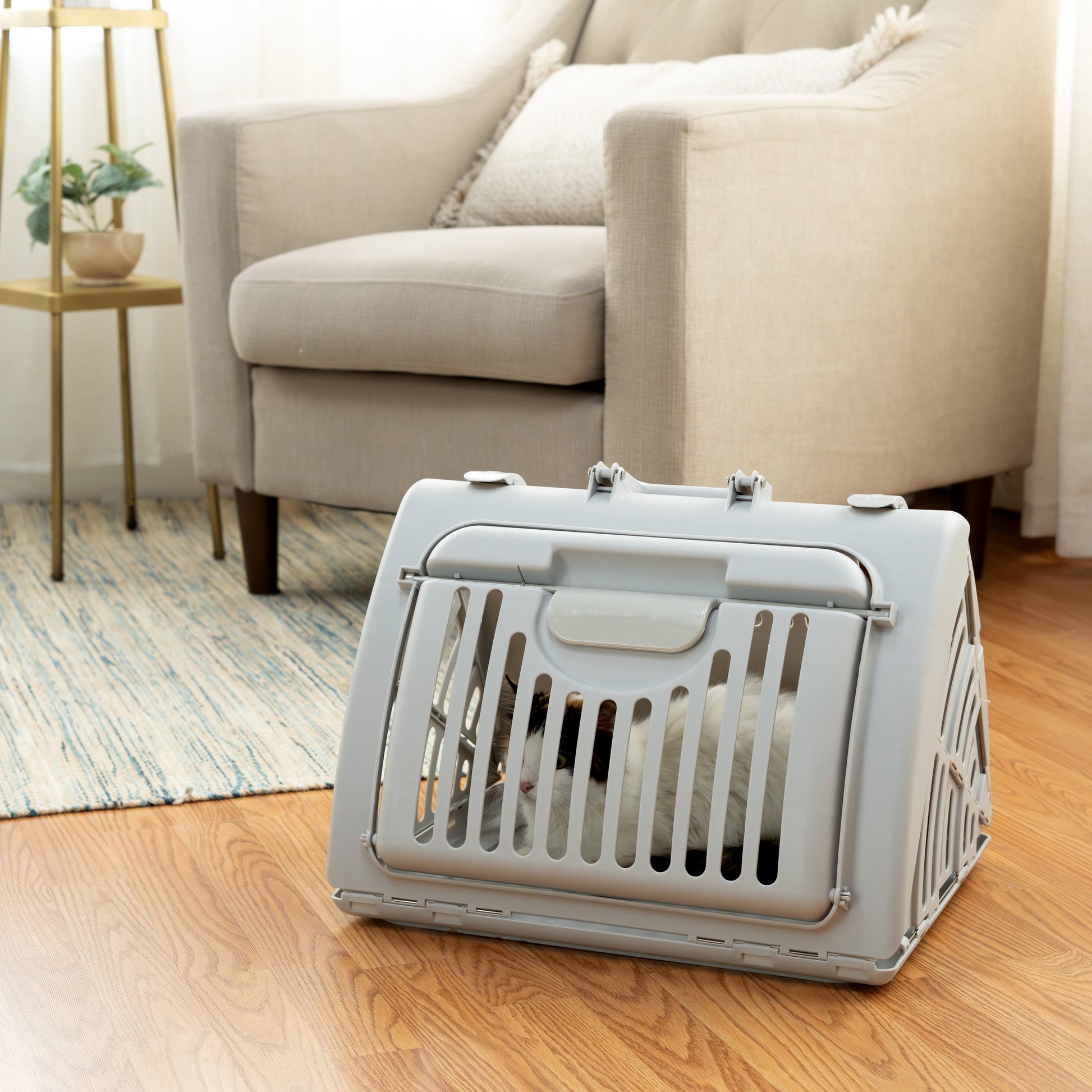 Portable Foldable Cat Carrier - Gray, One Size