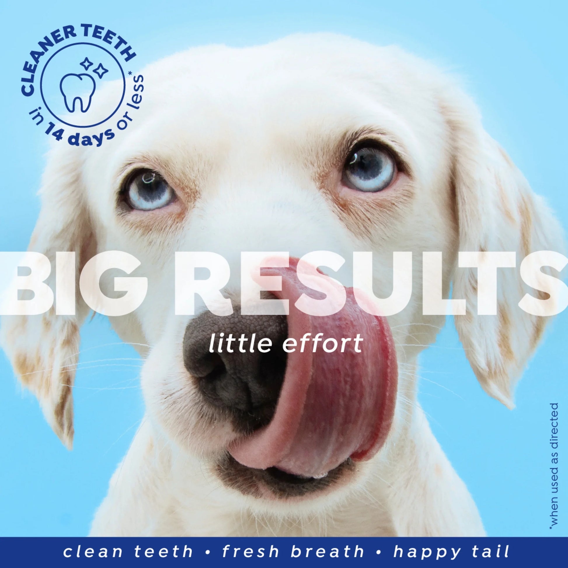 Fresh Dental Breath Freshener & Teeth Cleaning Water Additive for Dogs, 16 Oz Bottle