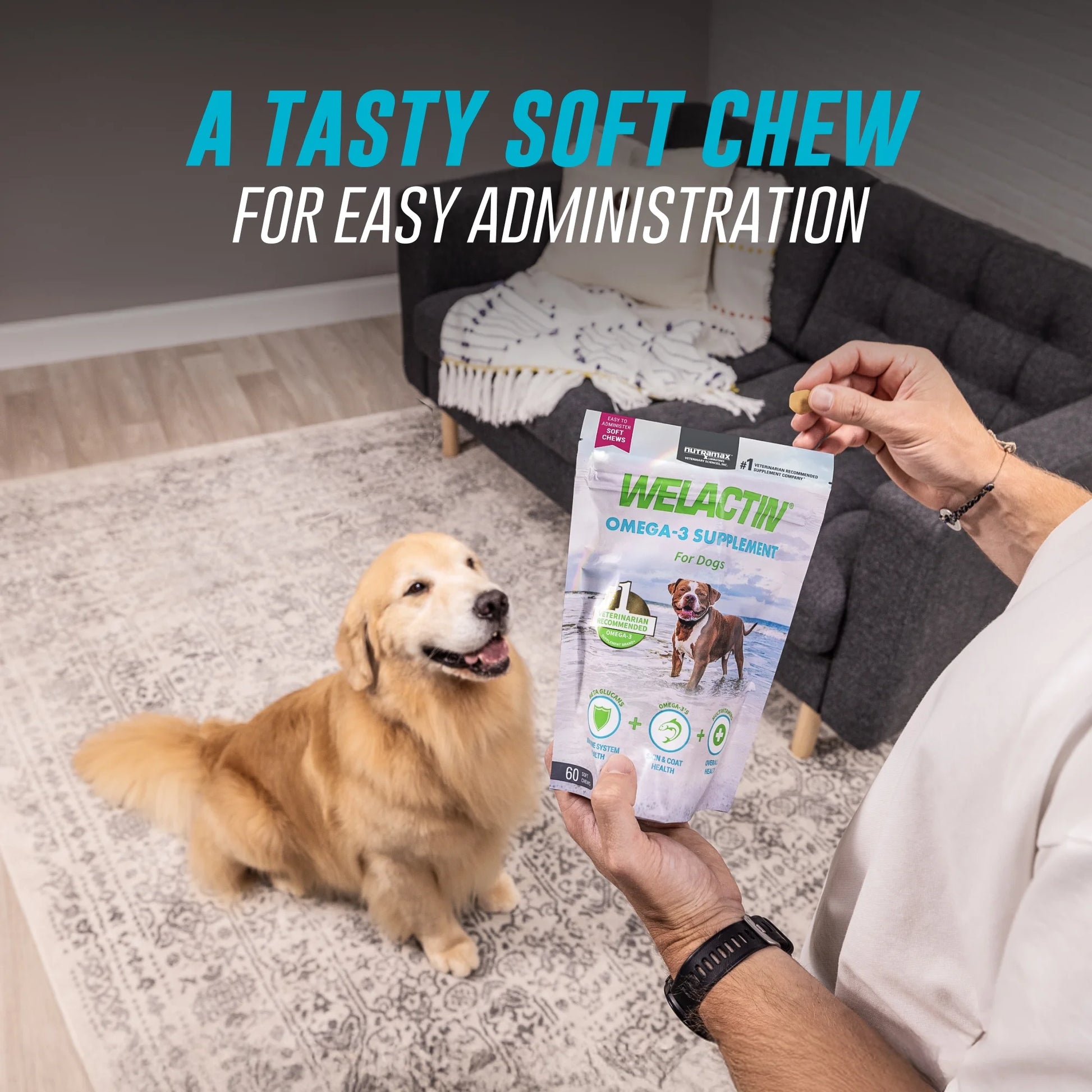 Nutramax Welactin Daily Omega-3 Supplement for Dogs, Skin & Coat Health plus Overall Health, 60 Soft Chews