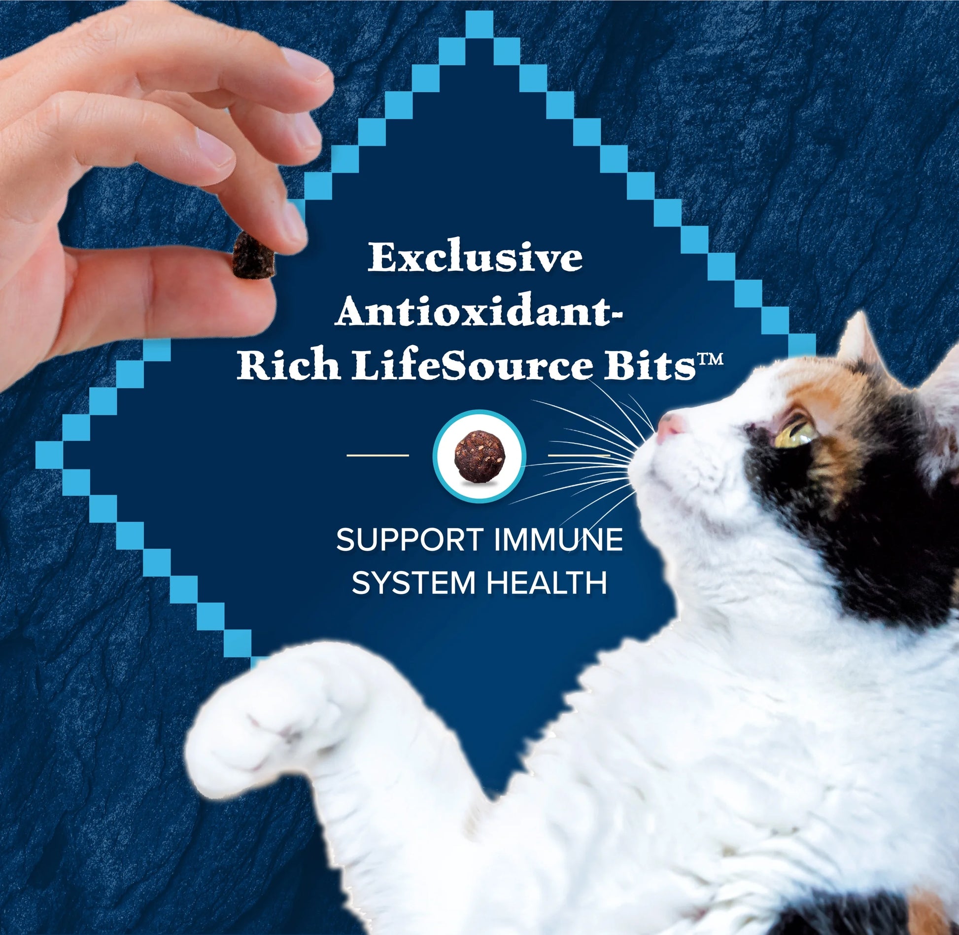 Wilderness Natural High Protein Dry Food for Adult Cats, Salmon, 9.5-Lb Bag