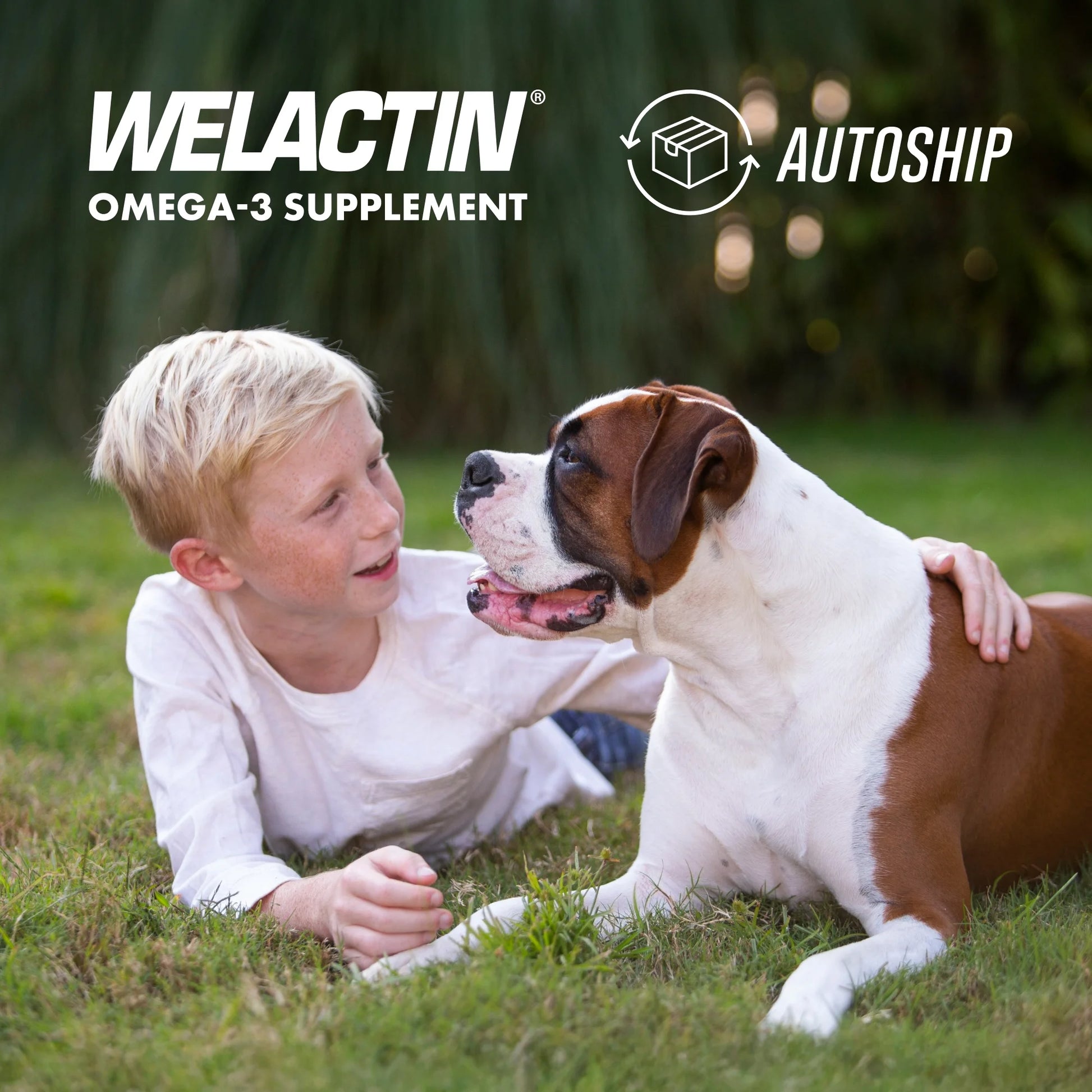 Nutramax Welactin Daily Omega-3 Supplement for Dogs, Skin & Coat Health plus Overall Health, 60 Soft Chews
