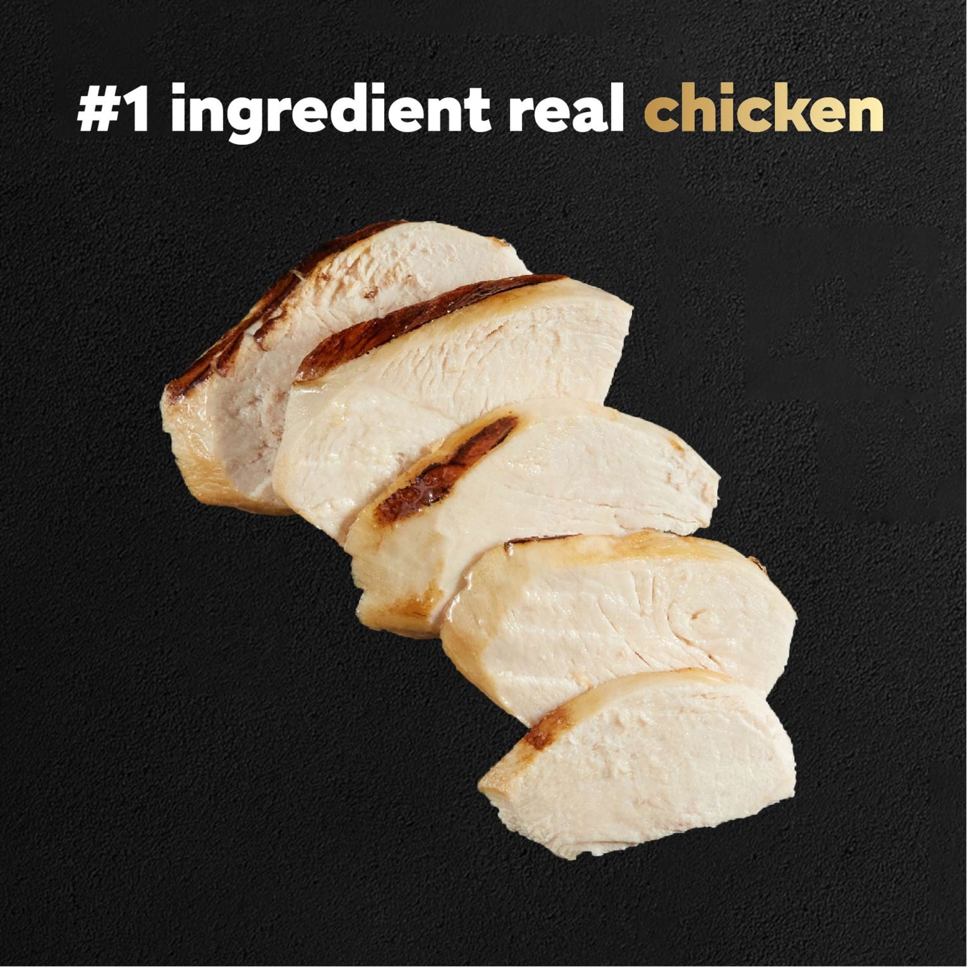 Wood-Grilled Chicken Wet Dog Food Pouch, 1.76 Oz.