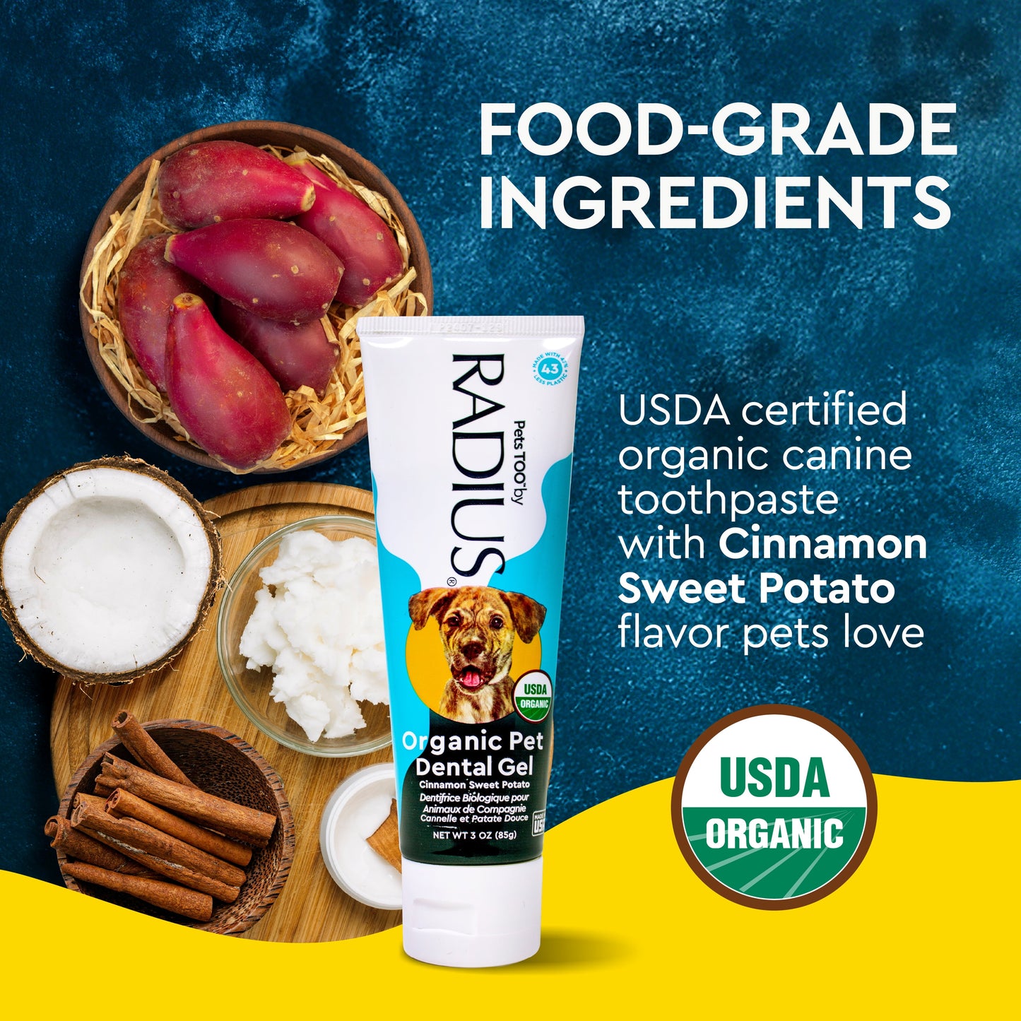 All Ages Dog Dental Kit, 1 Toothbrush, 0.8Oz Toothpaste, 1 Recycled Plastic Case, Clean Teeth